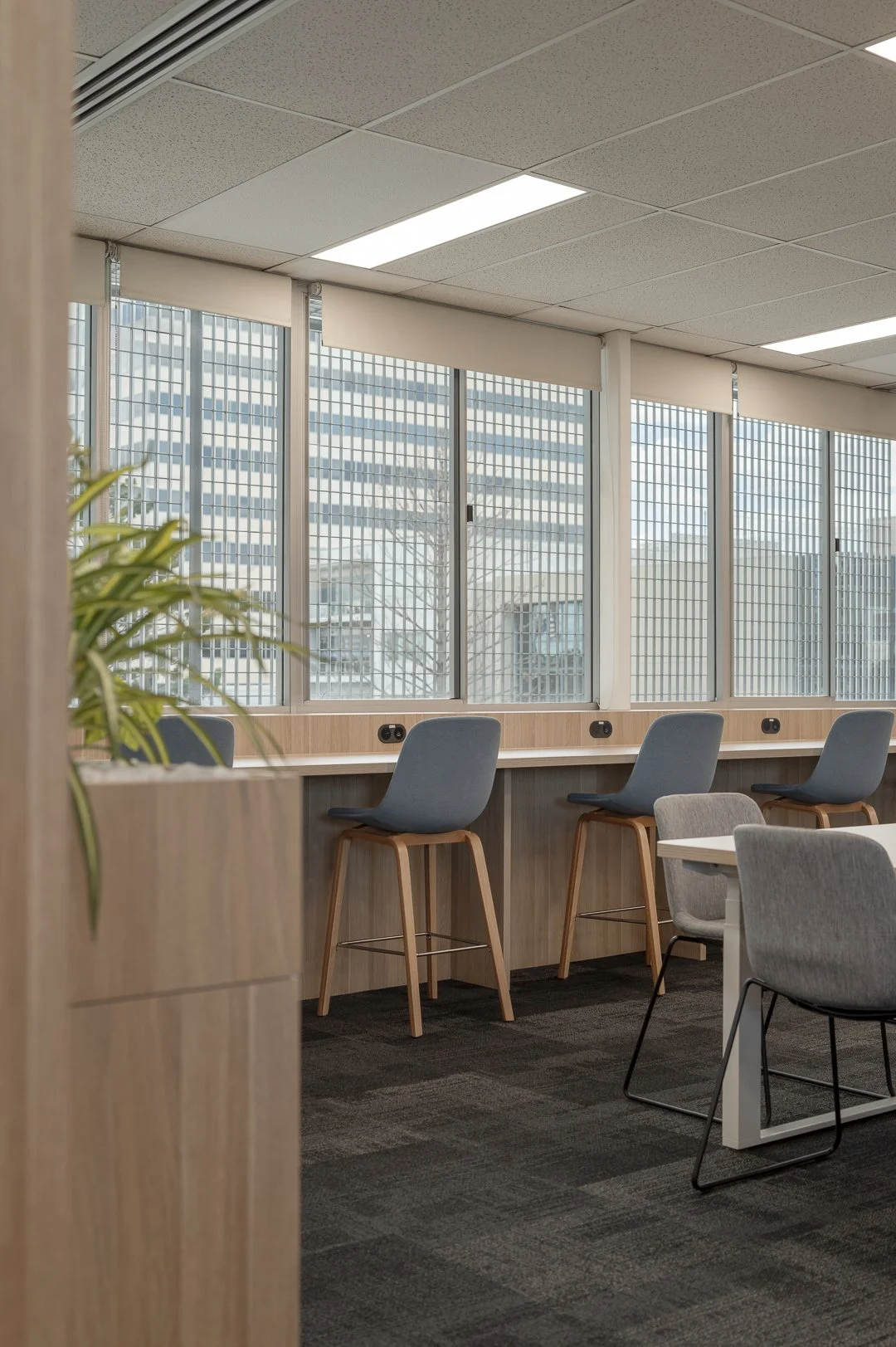 UNSW Liverpool SUSH_SML-8.jpg