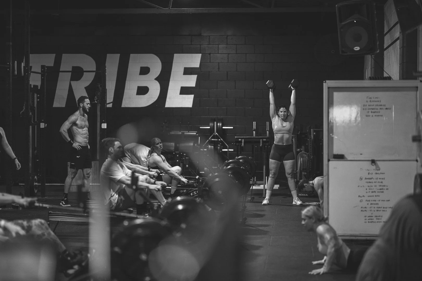 Tribe HQ_111025-15.jpg