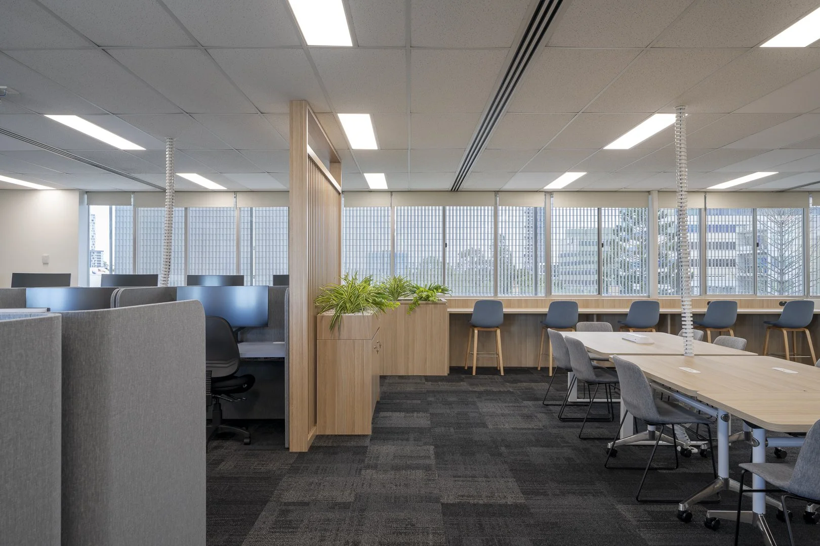 UNSW Liverpool SUSH_SML-7.jpg