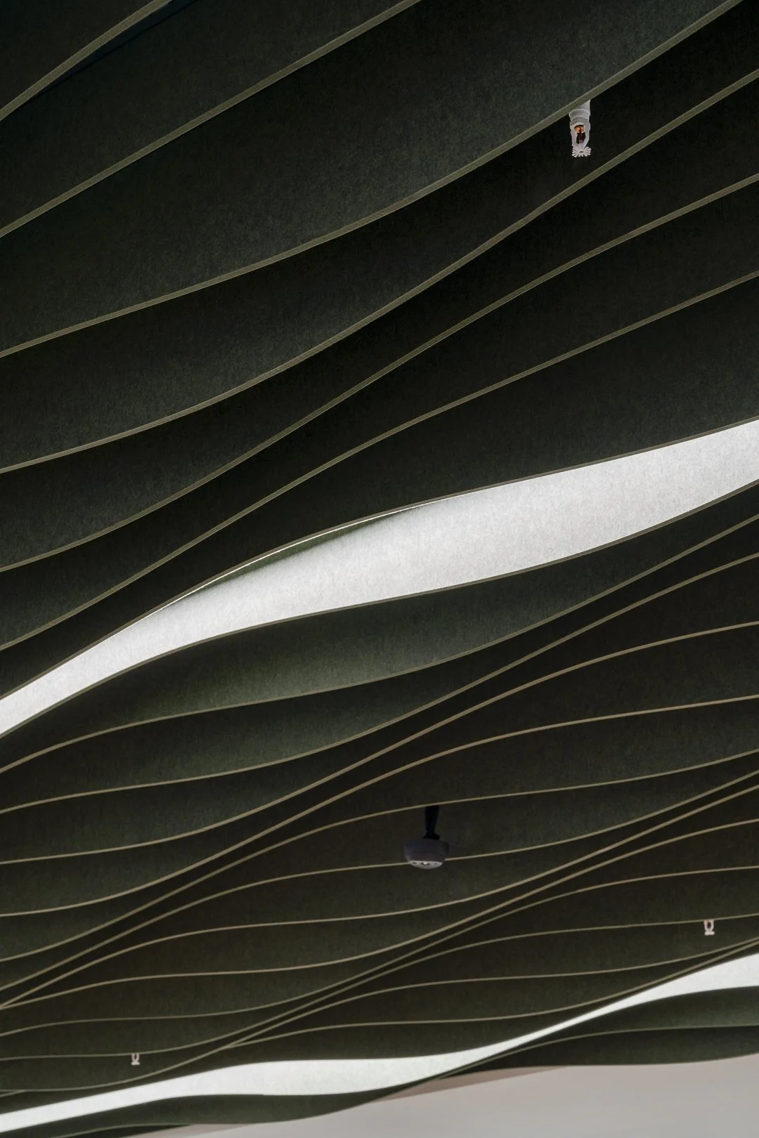 UTS SLH CB07_SML-10.jpg