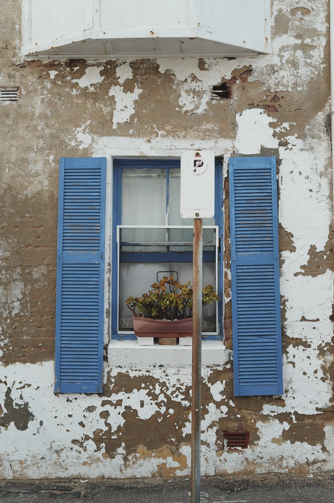 Ultimo & The Bower-14.jpg