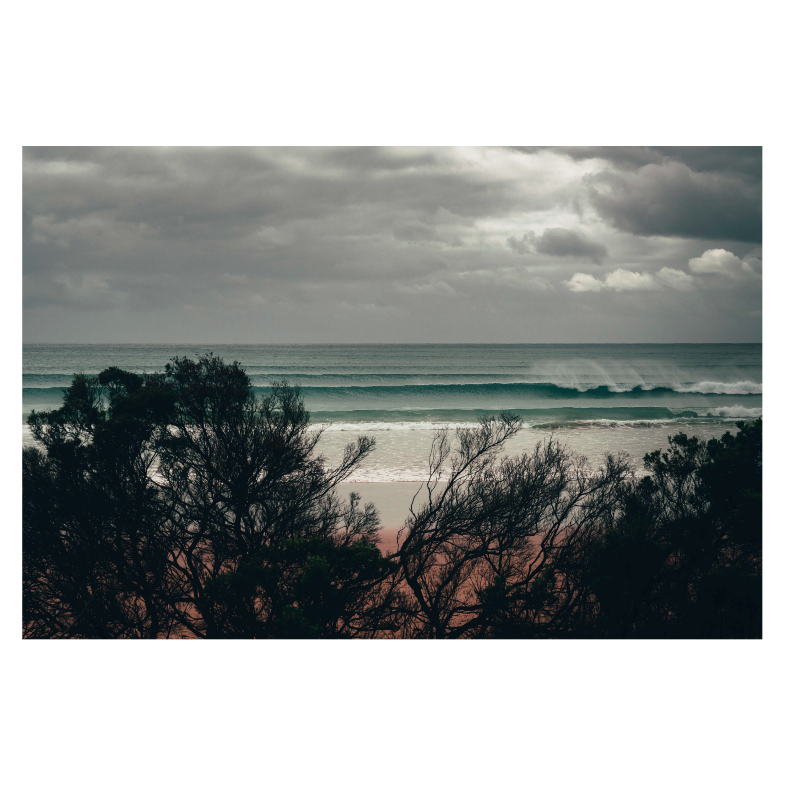 10_Daniel Cook_Apollo Bay_SML_Square.png
