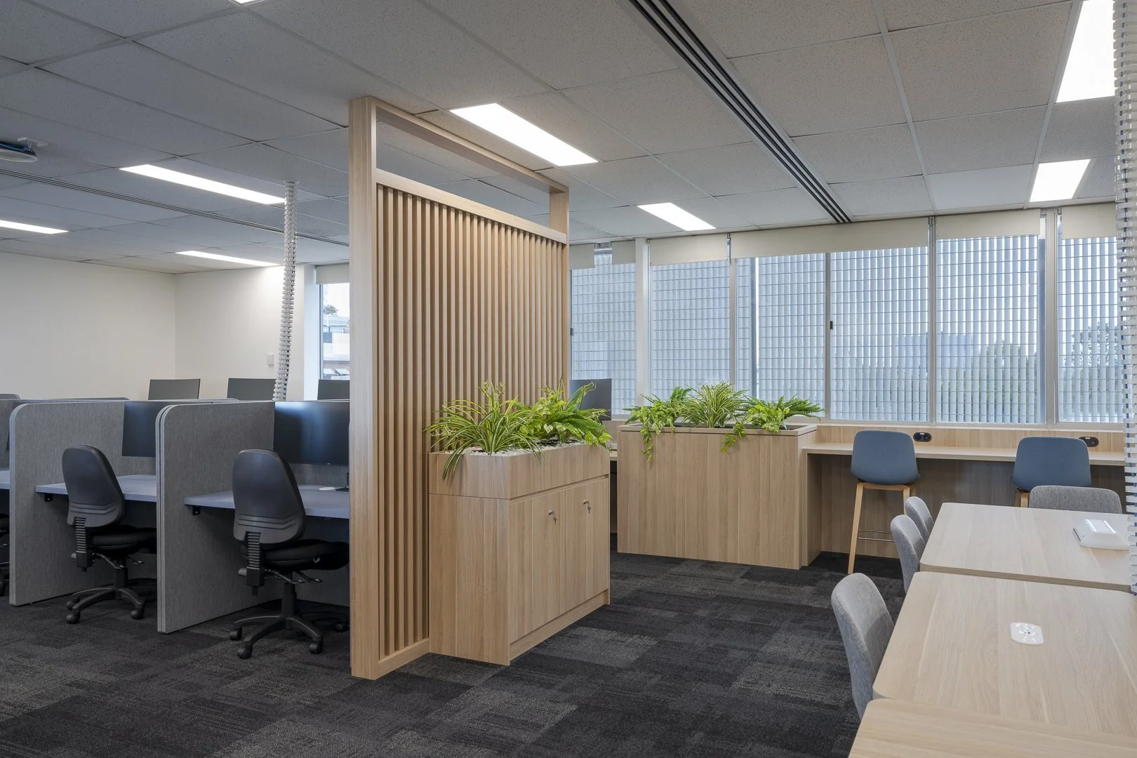 UNSW Liverpool SUSH_SML-5.jpg