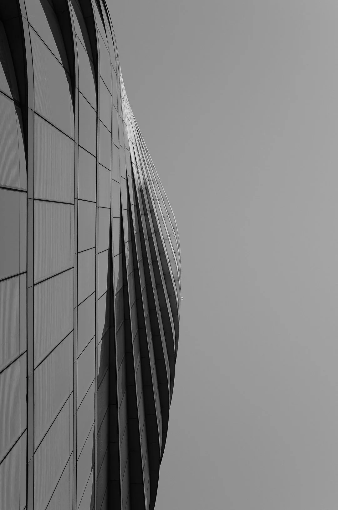 Ultimo & The Bower-1.jpg