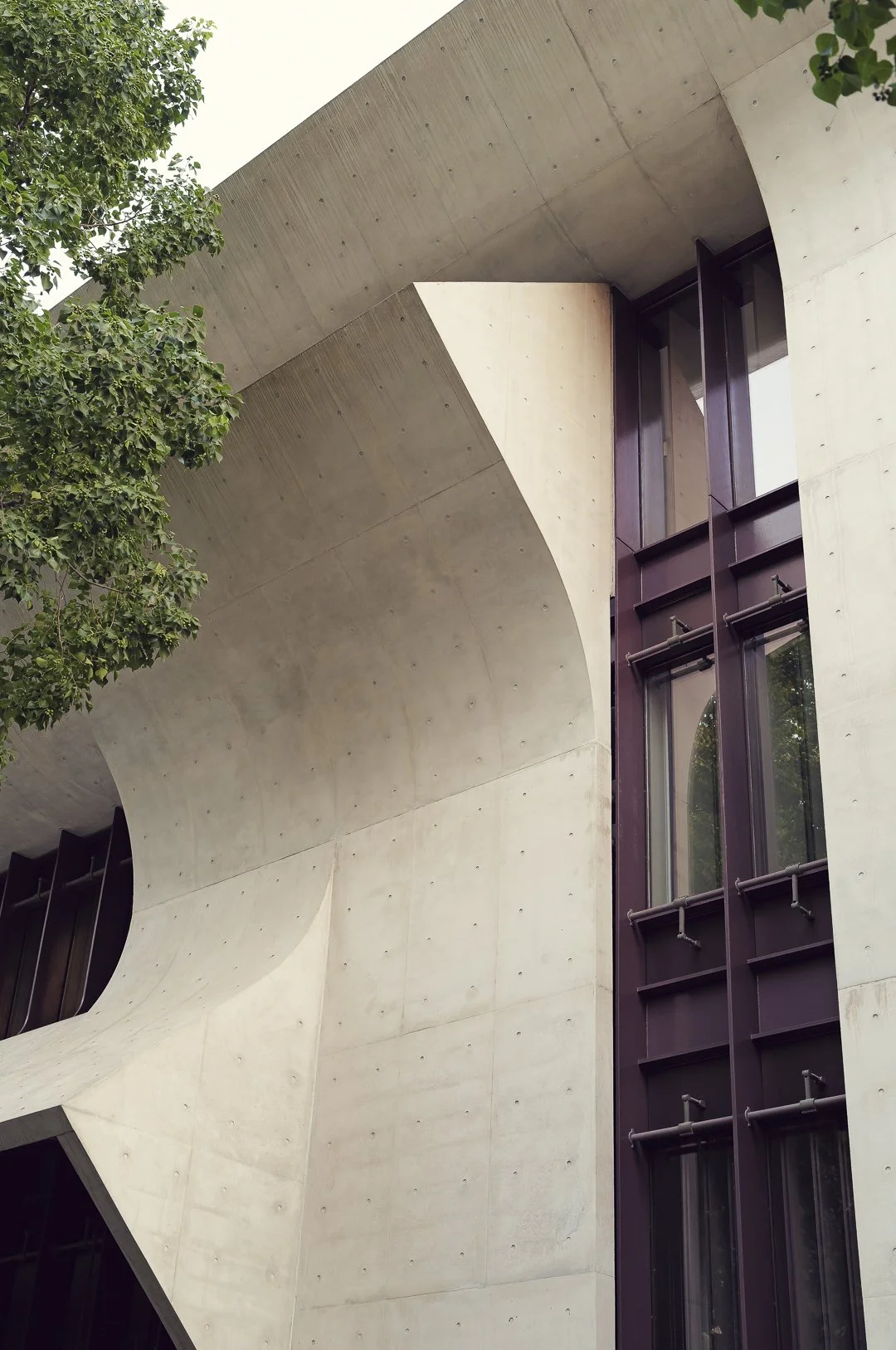 Ultimo & The Bower-5.jpg