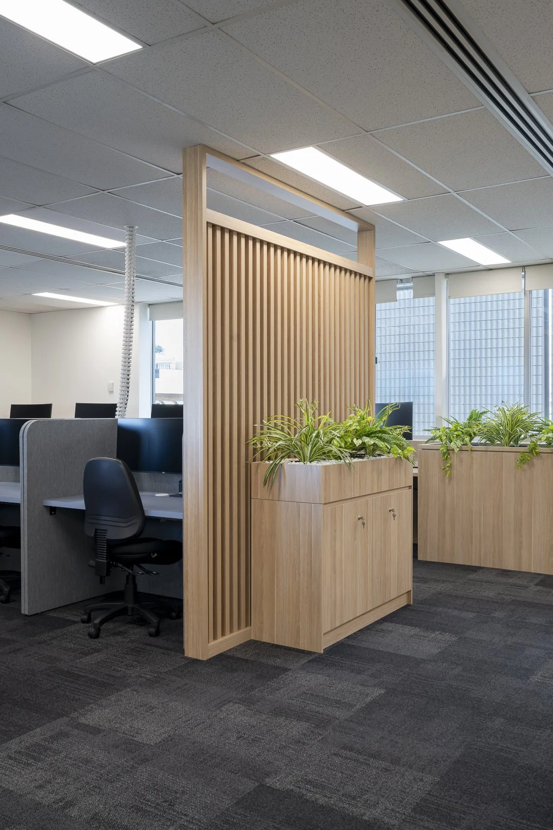 UNSW Liverpool SUSH_SML-6.jpg