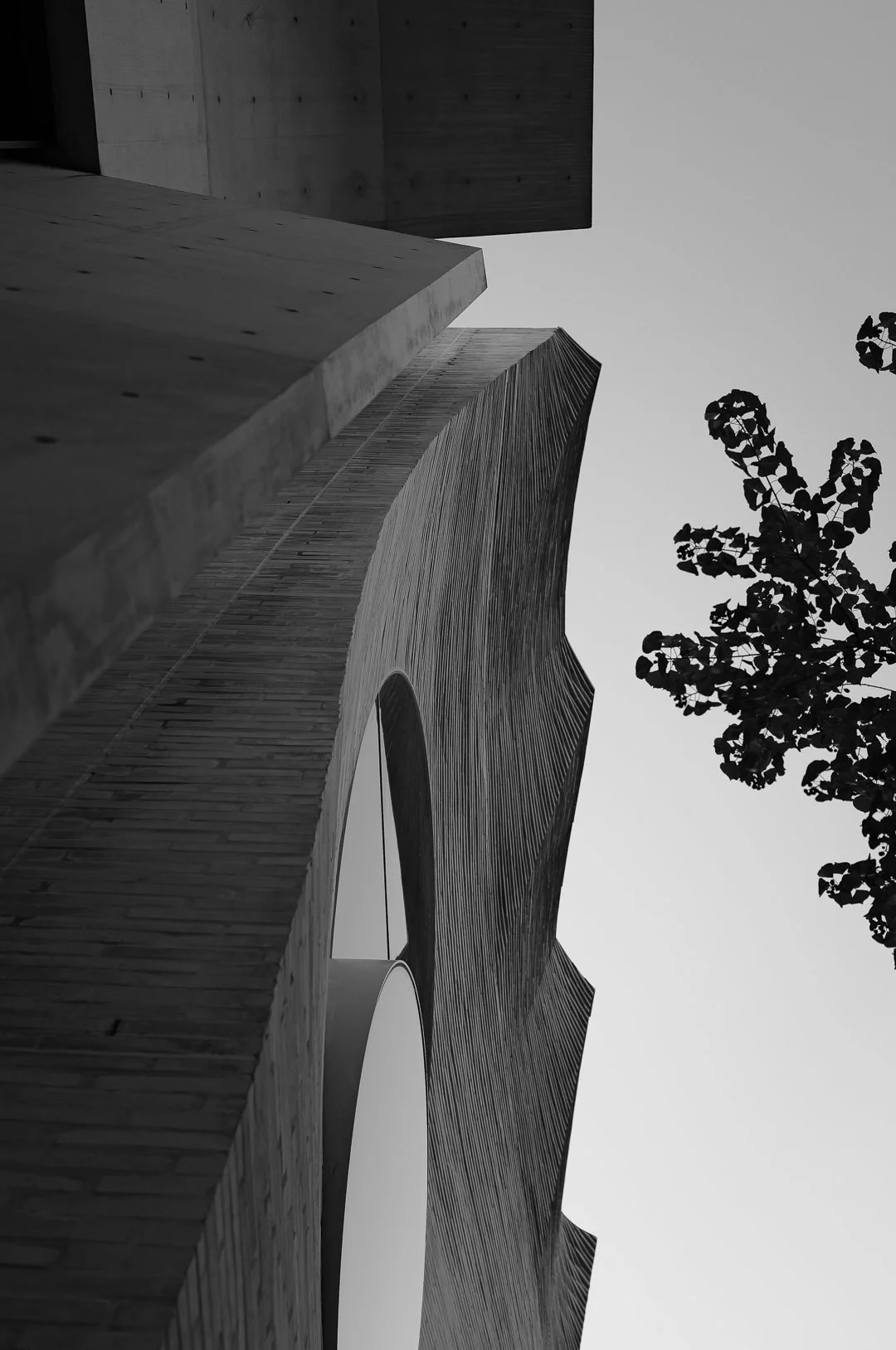 Ultimo & The Bower-8.jpg