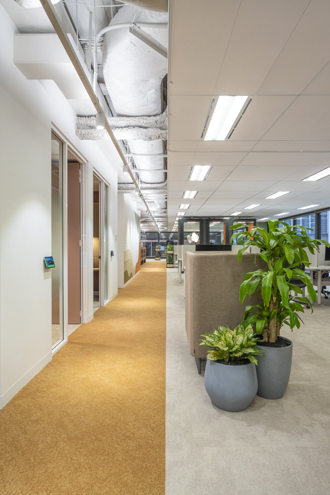 Zoom Workplace_SML-14.jpg