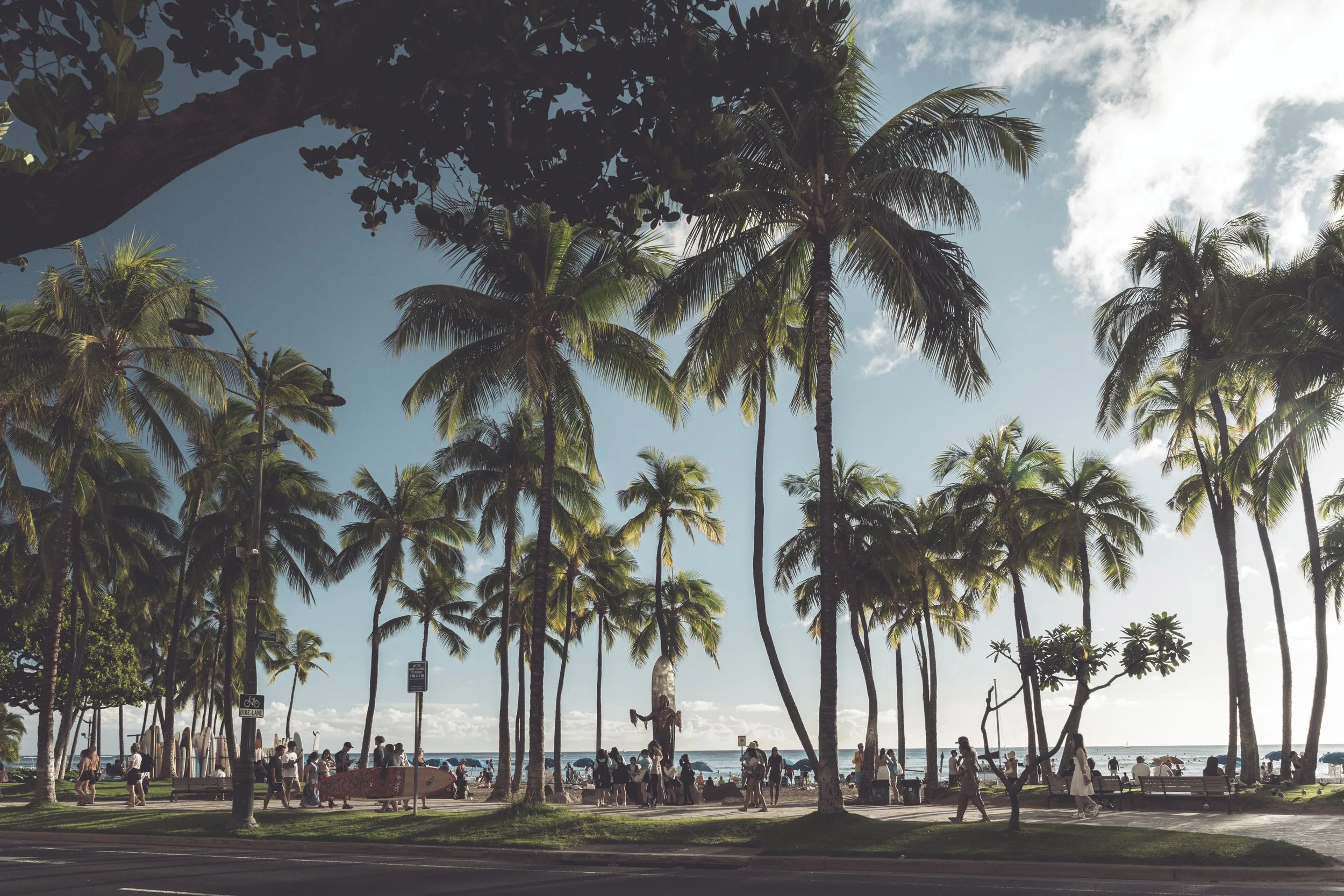 Hawaii Waikiki colour-6.jpg