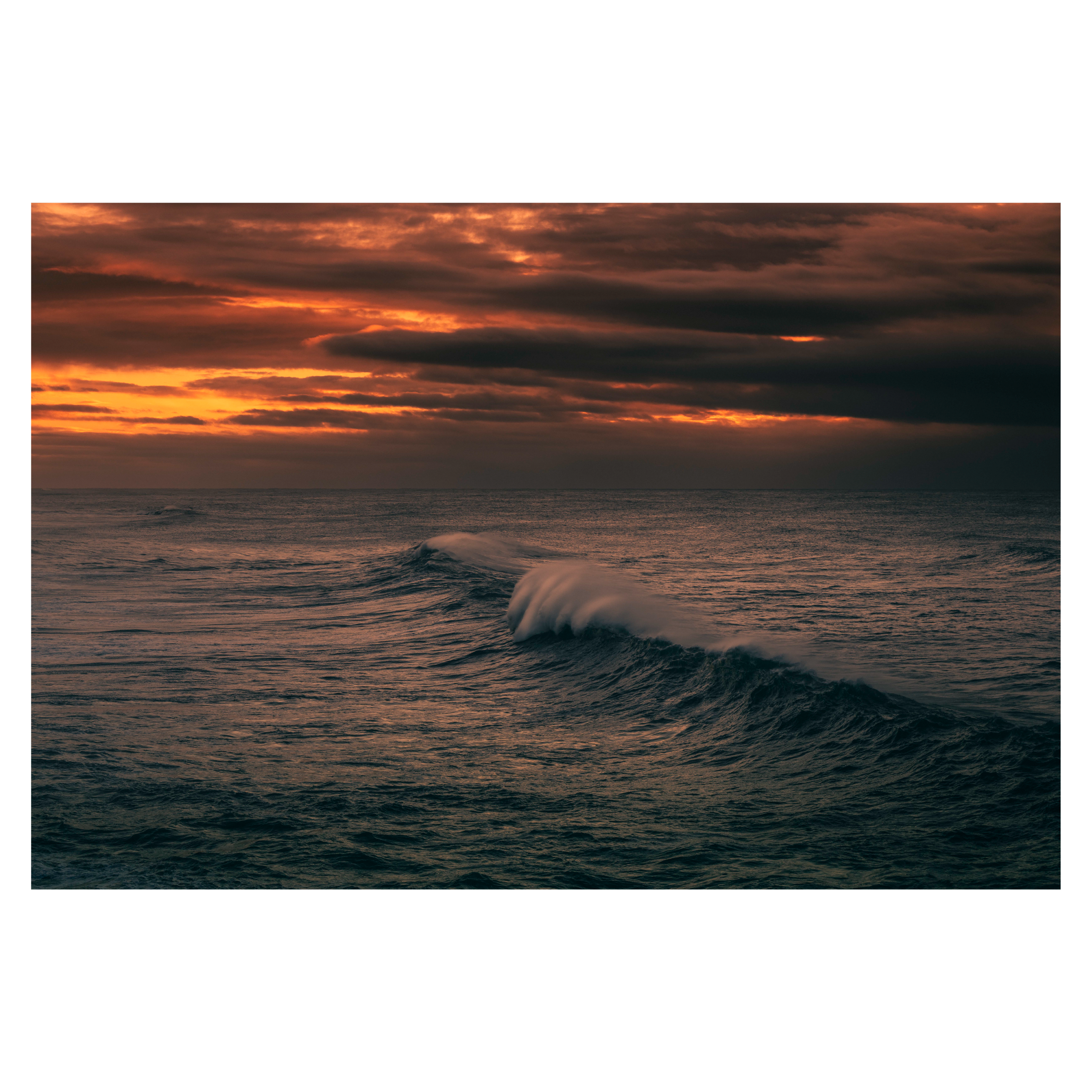 White Horses