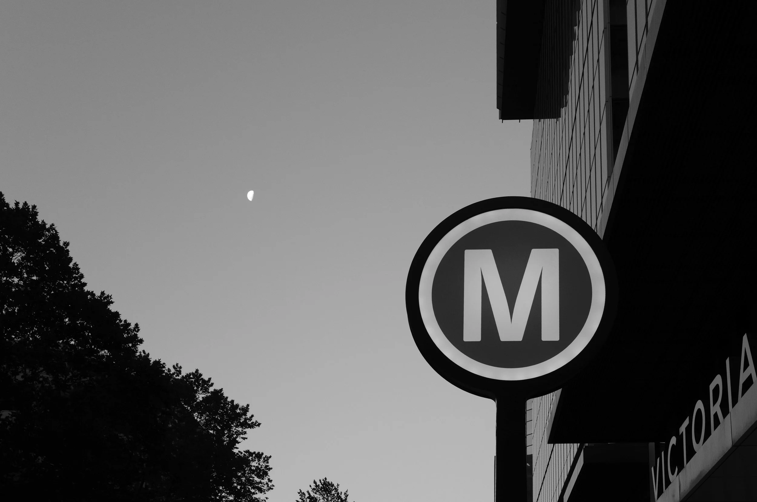 North Sydney_270126-5.jpg