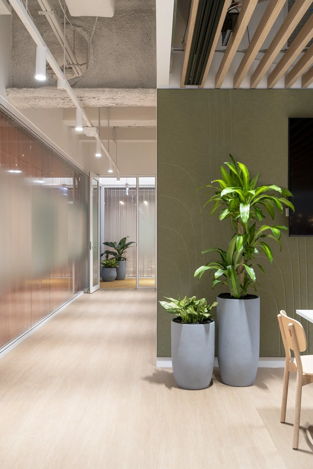 Zoom Workplace_SML-6.jpg