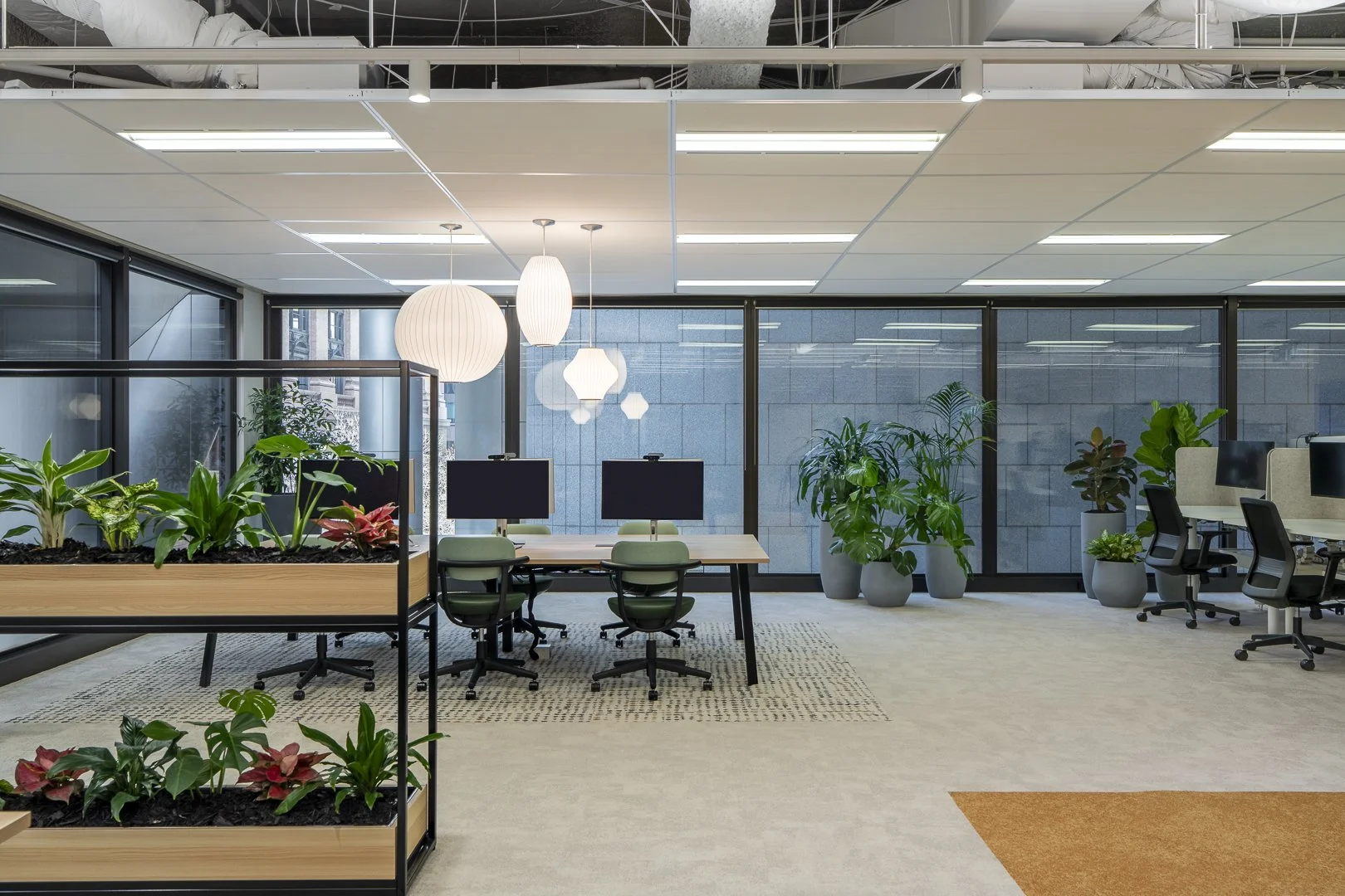 Zoom Workplace_SML-7.jpg