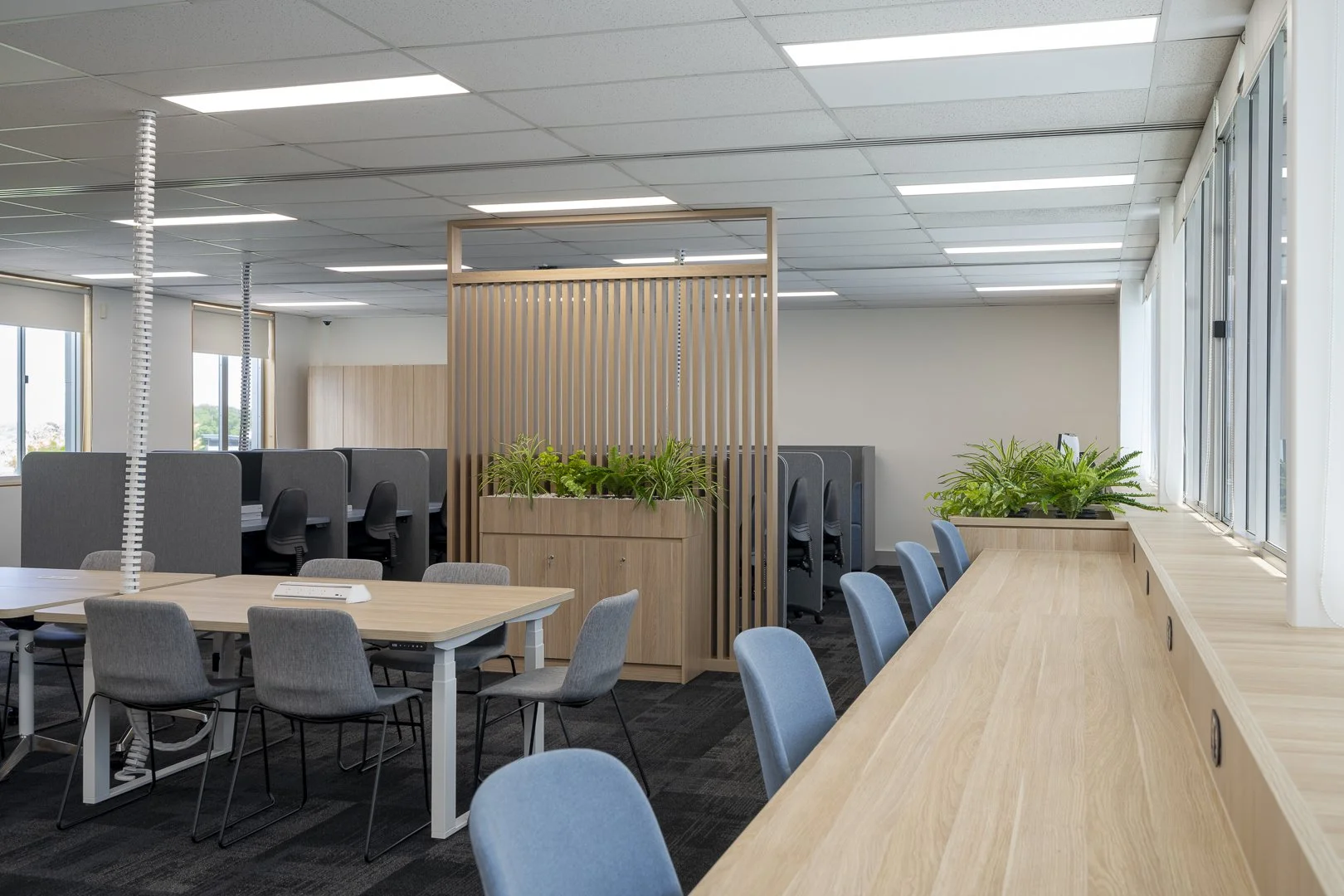 UNSW Liverpool SUSH_SML-9.jpg