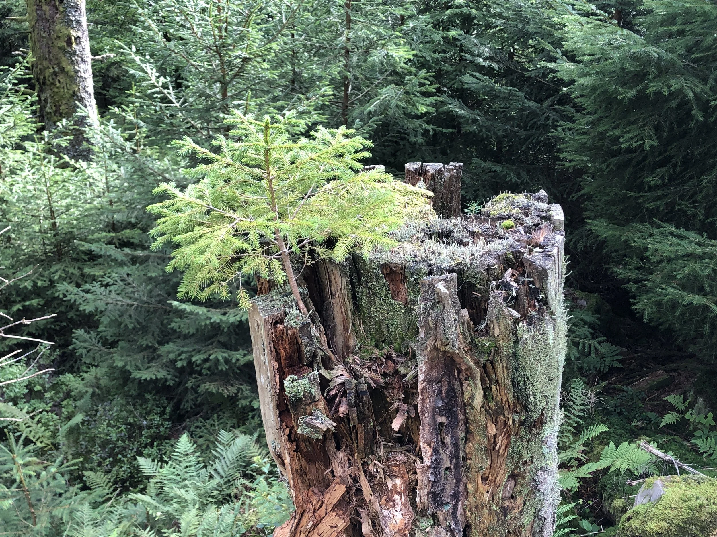 Glück im Unglück: Jeder Sturm, der durch unser Leben zieht, eröffnet auch neue Perspektiven und Möglichkeiten. 