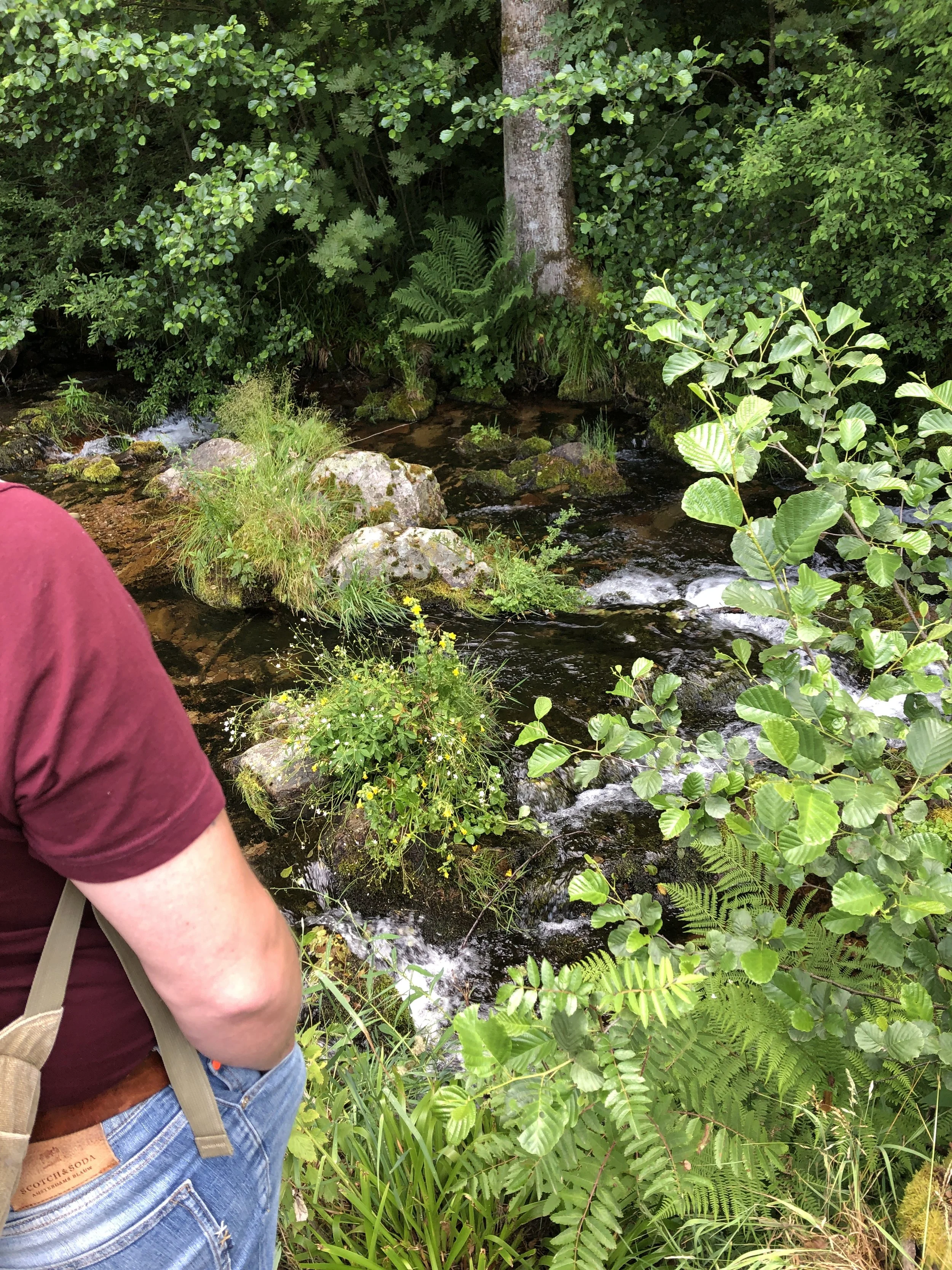 Am Anfang dreht sich alles um Ihre mitgebrachte Fragestellung: Hier hat sich einer meiner Klienten an einer bestimmten Stelle am Bach aufgestellt, der seinen momentanen Punkt im Veränderungsprozess darstellt.