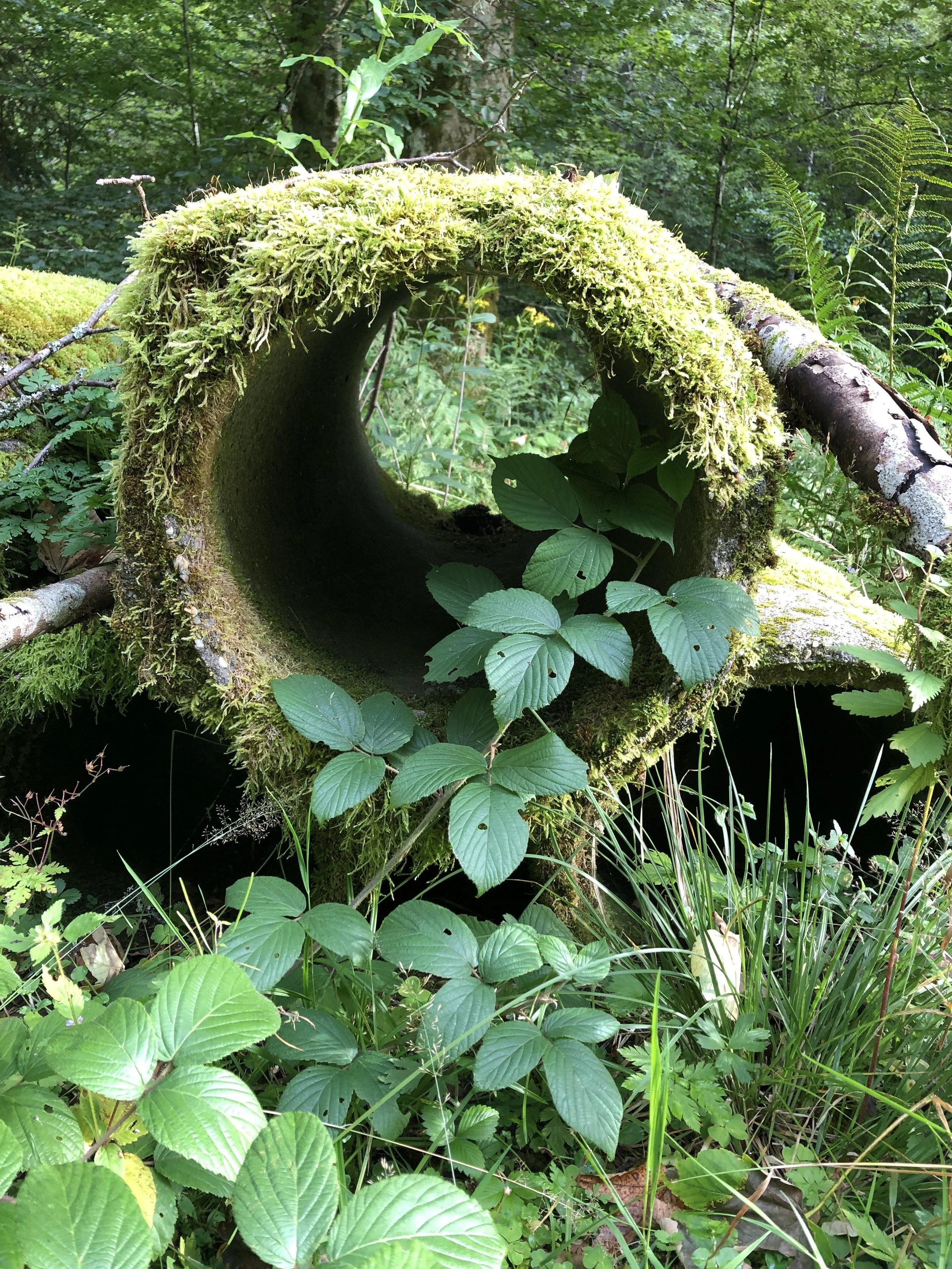 Häufig ist es auch ein Tunnelblick, der verhindert, dass Sie auf Alternativen und neue Lösungsmöglichkeiten kommen.