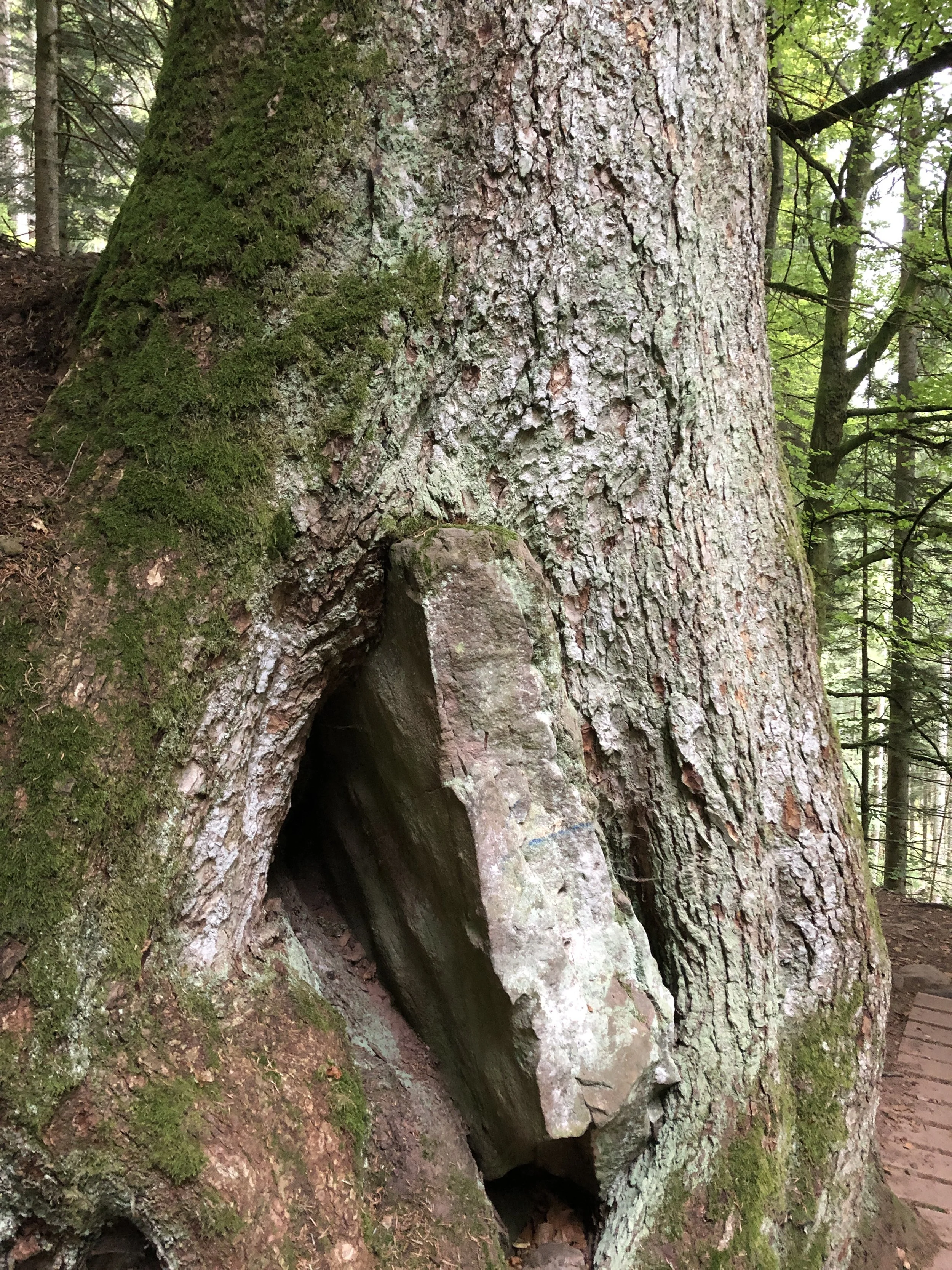 ...oder dass Sie bestimmte Gedanken und Vorstellungen bedrücken.