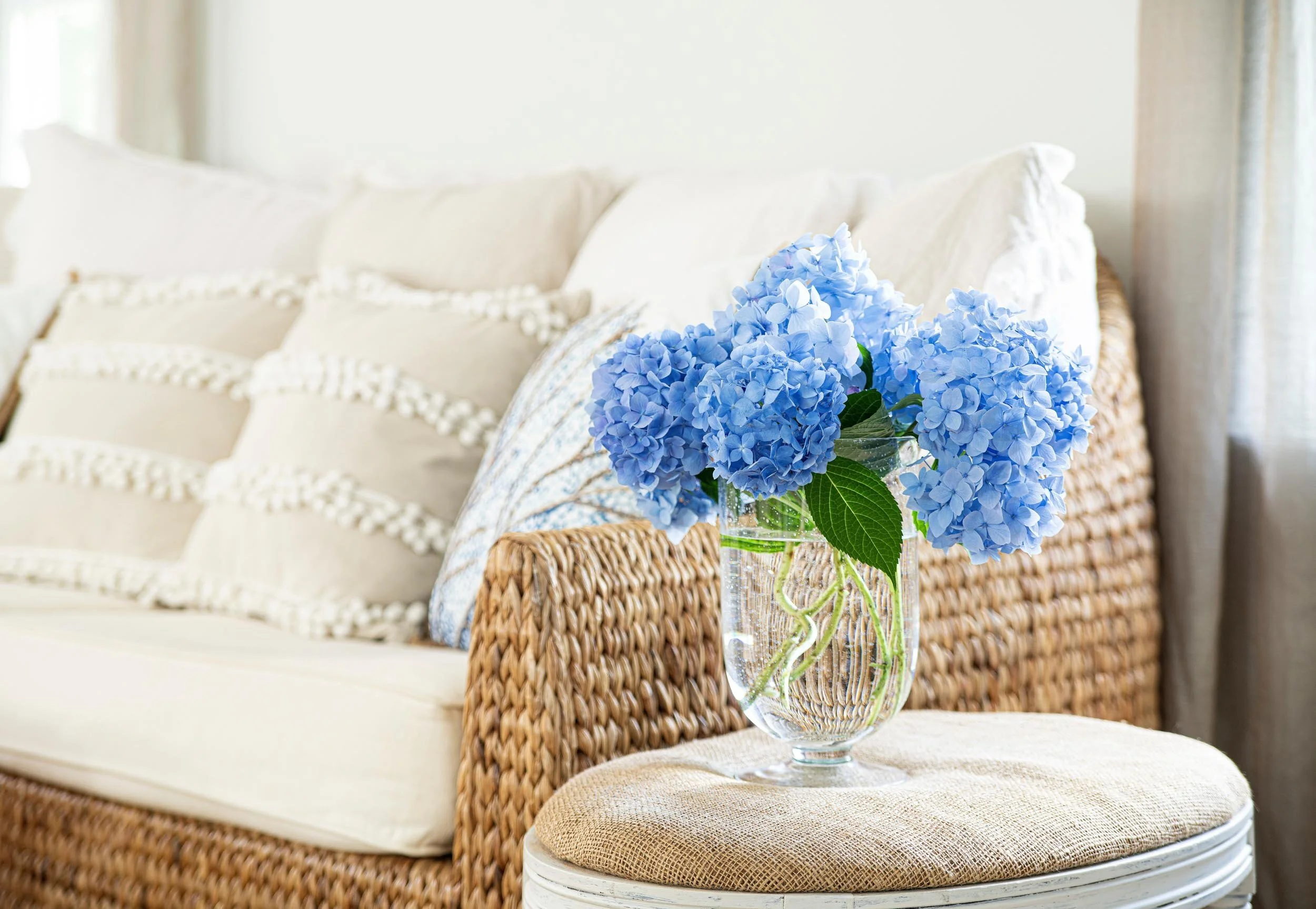 Cozy living room with blue hydrangea flowers in a glass vase on a wicker chair, beige pillows on a sofa in the background.