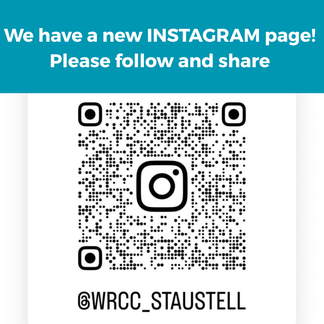 INSTAGRAM PAGE IG.png