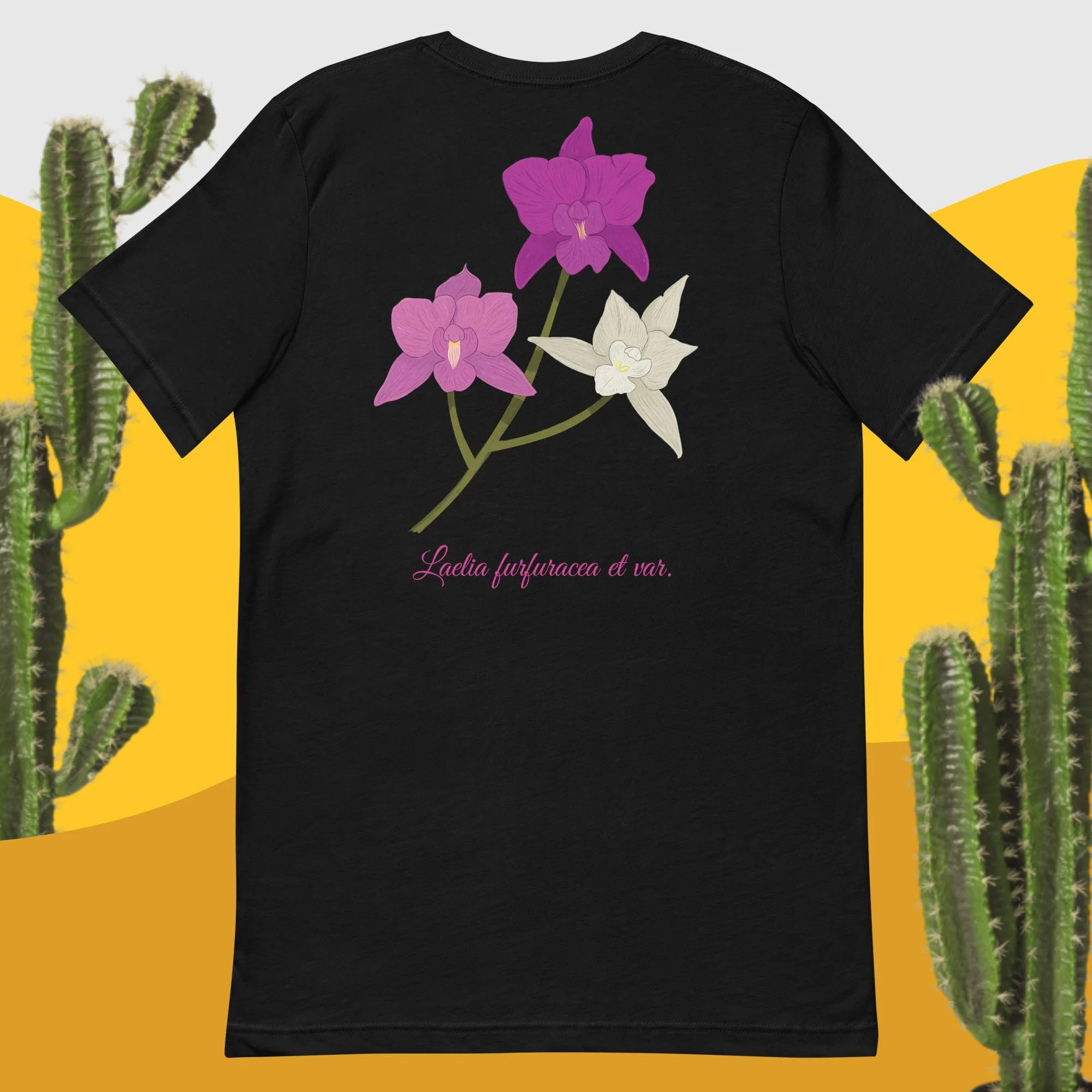 unisex-staple-t-shirt-black-back-66bb3bc253258.jpg