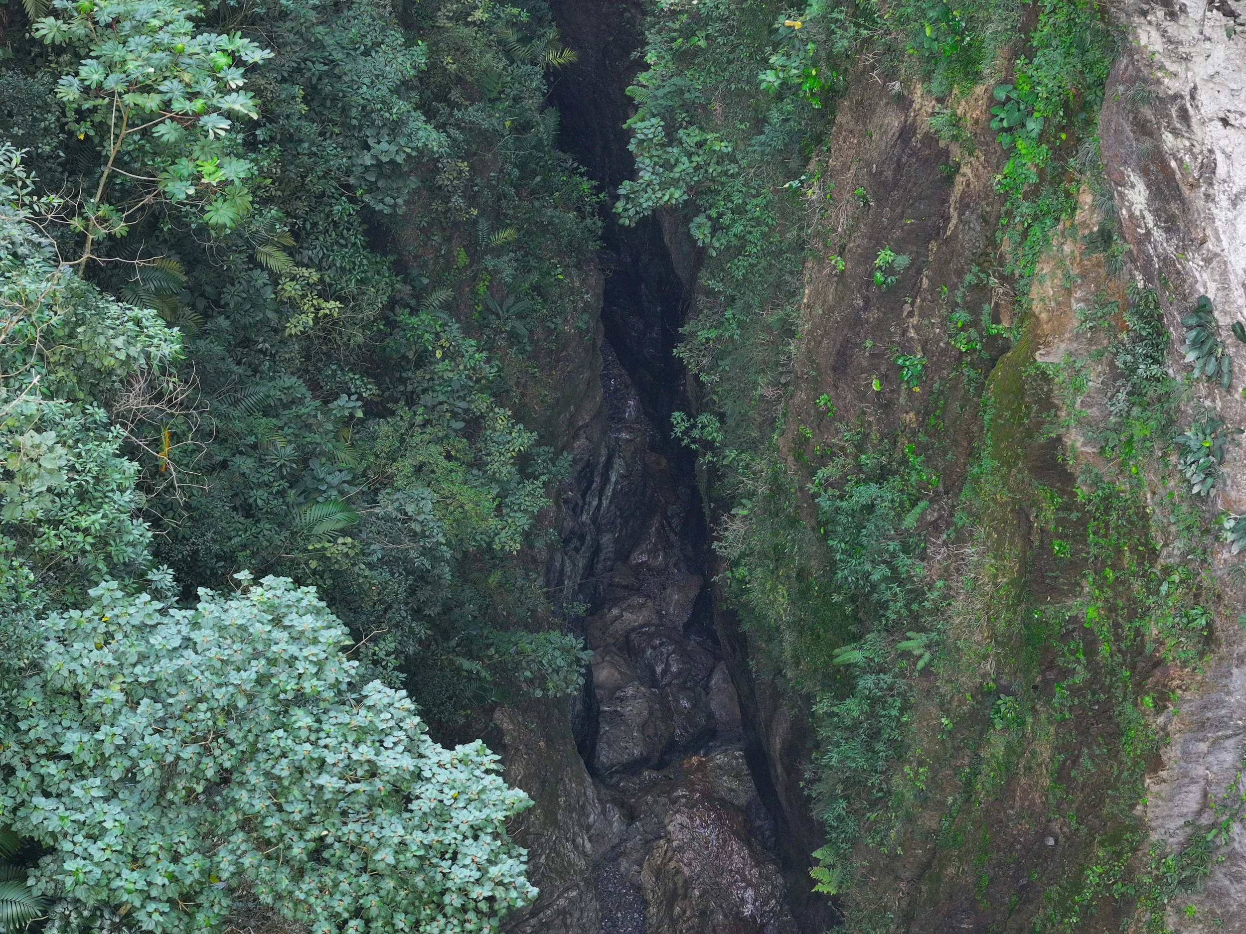 A deep, rocky gorge with lush green foliage on both sides, a small stream or waterfall running through the center, surrounded by moss-covered rocks and steep cliffs.