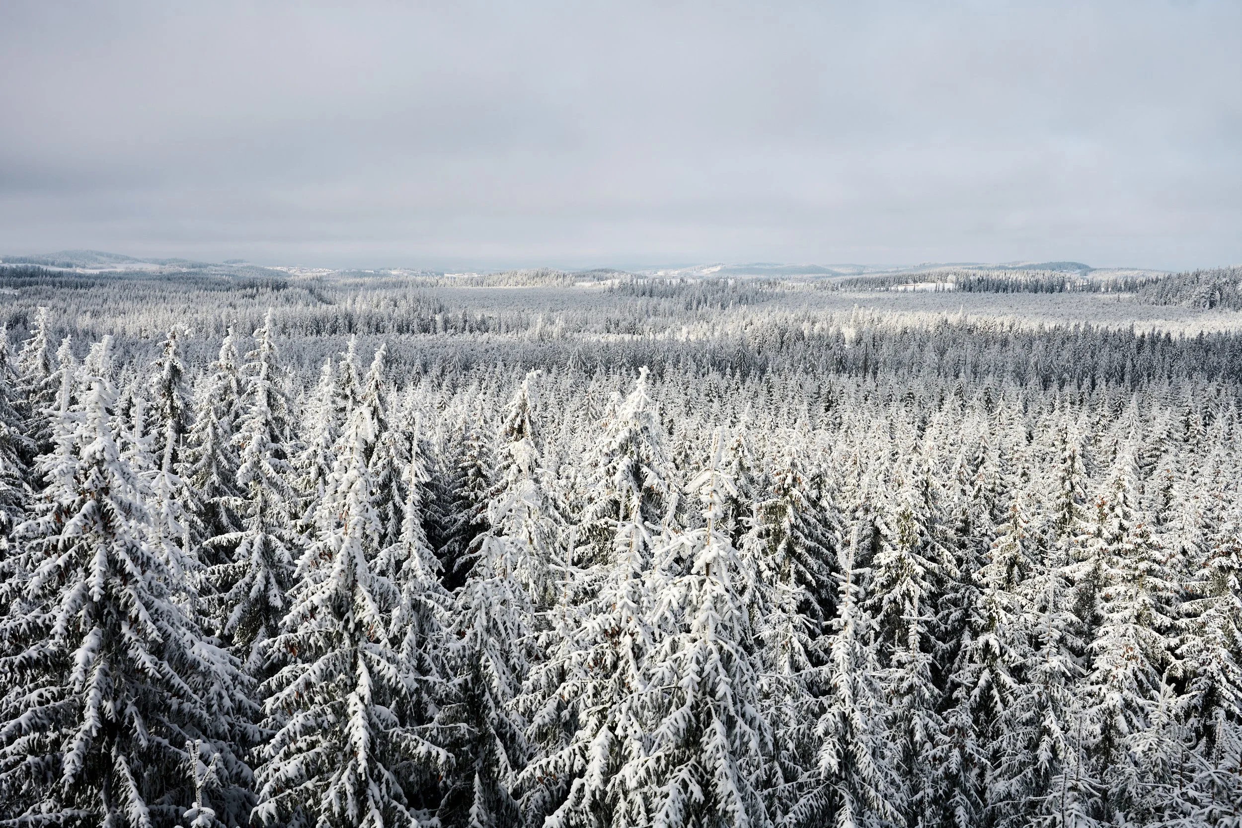 2023 01 29_Tannermoor_061.jpg