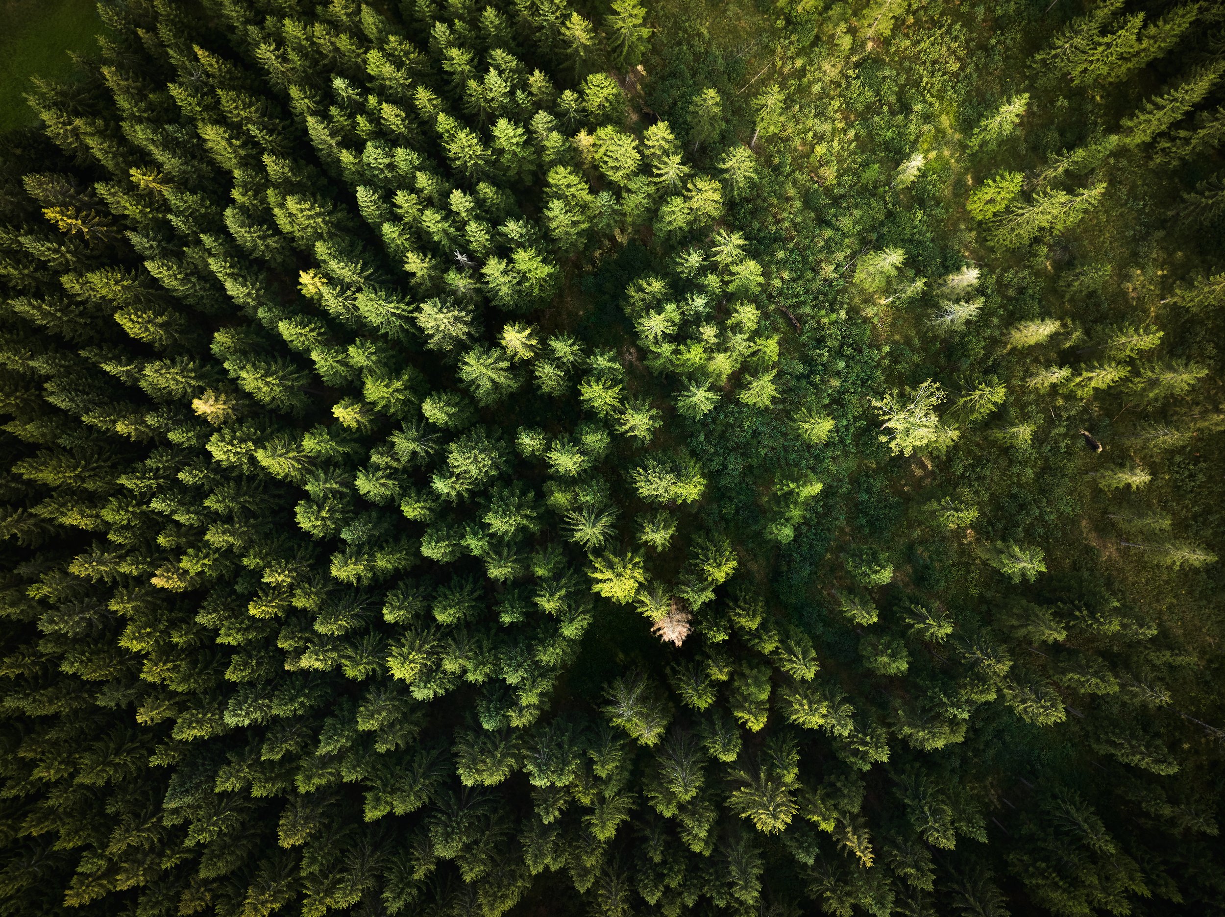 2024 09 01_Kaltenberg_022.jpg