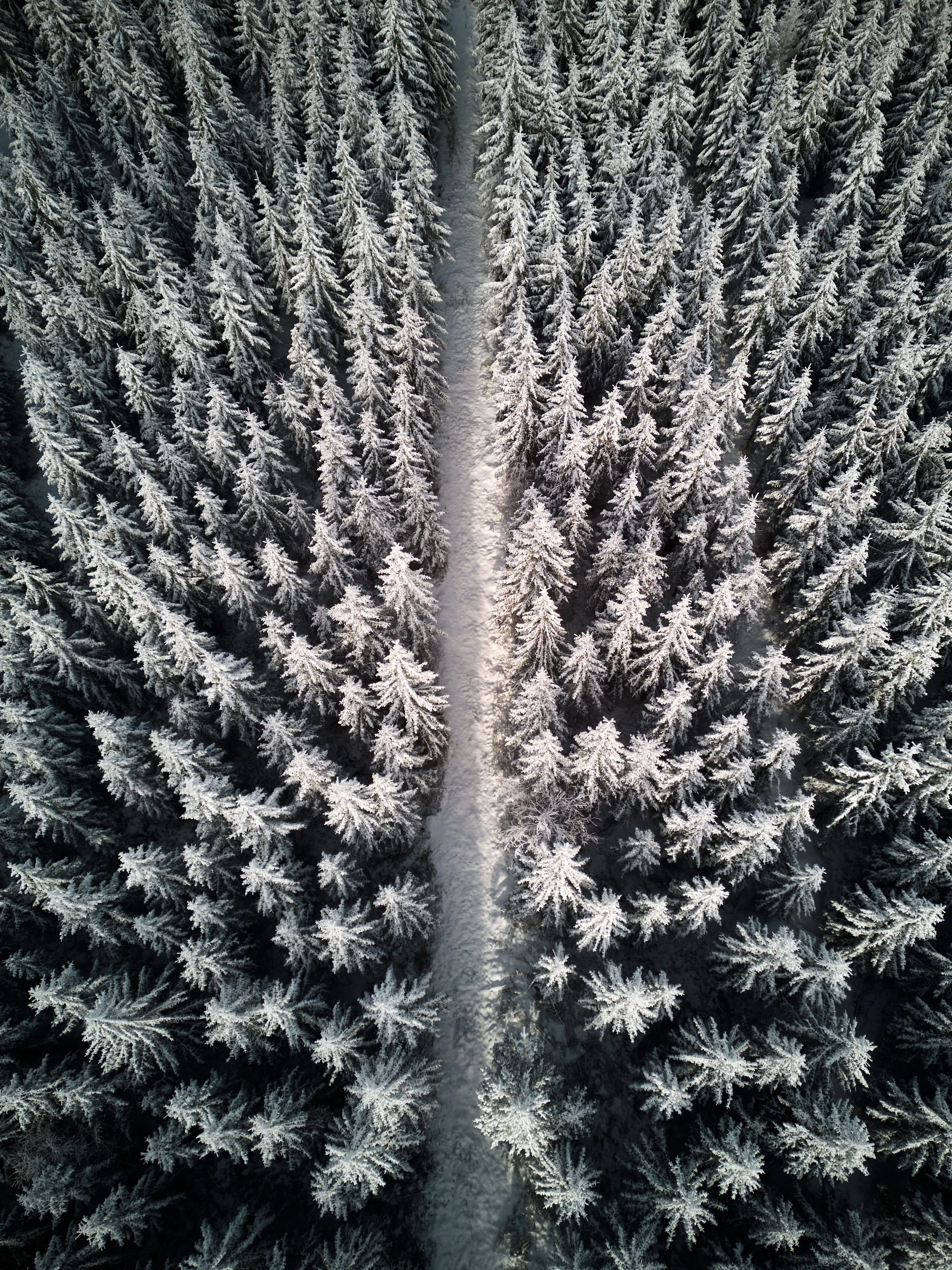 2023 01 29_Tannermoor_012.jpg