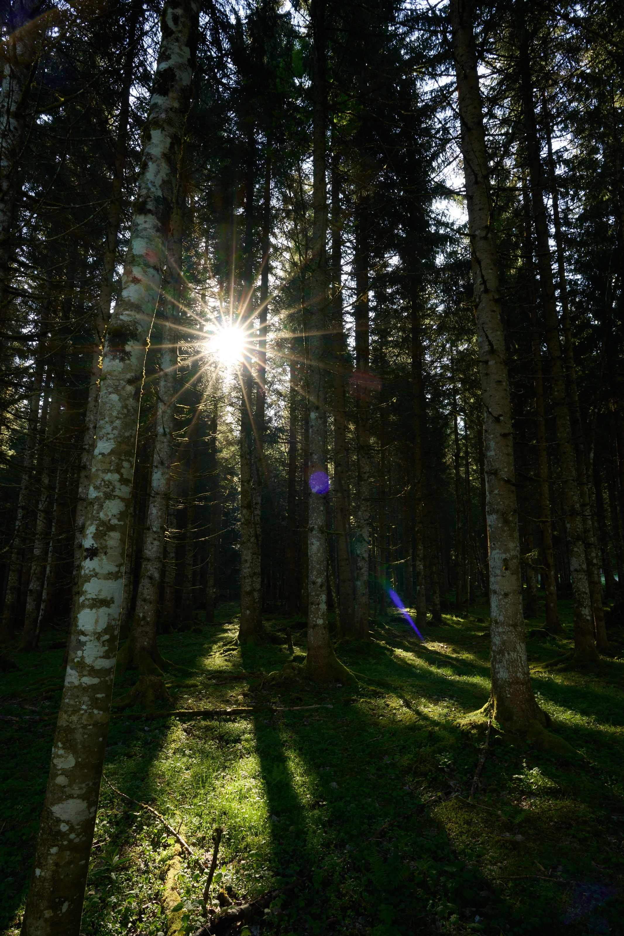 2024 04 28_Ausseerland_073.jpg