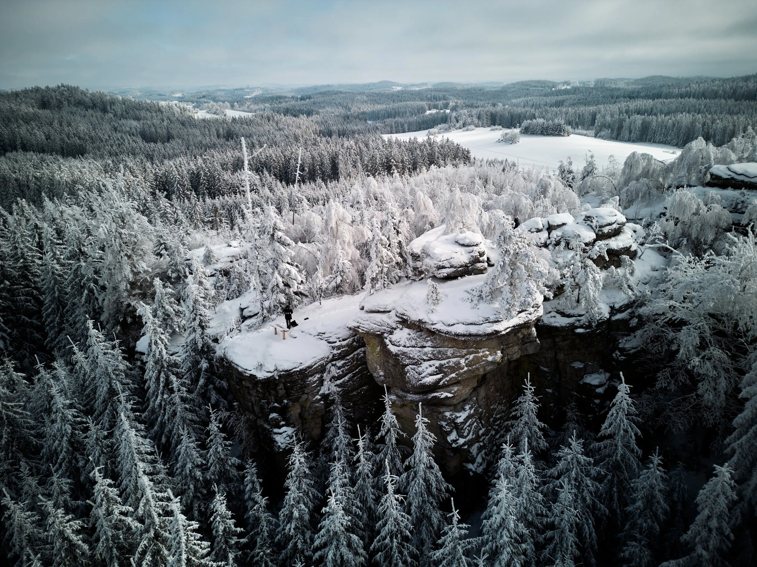 2023 01 29_Tannermoor_006.jpg