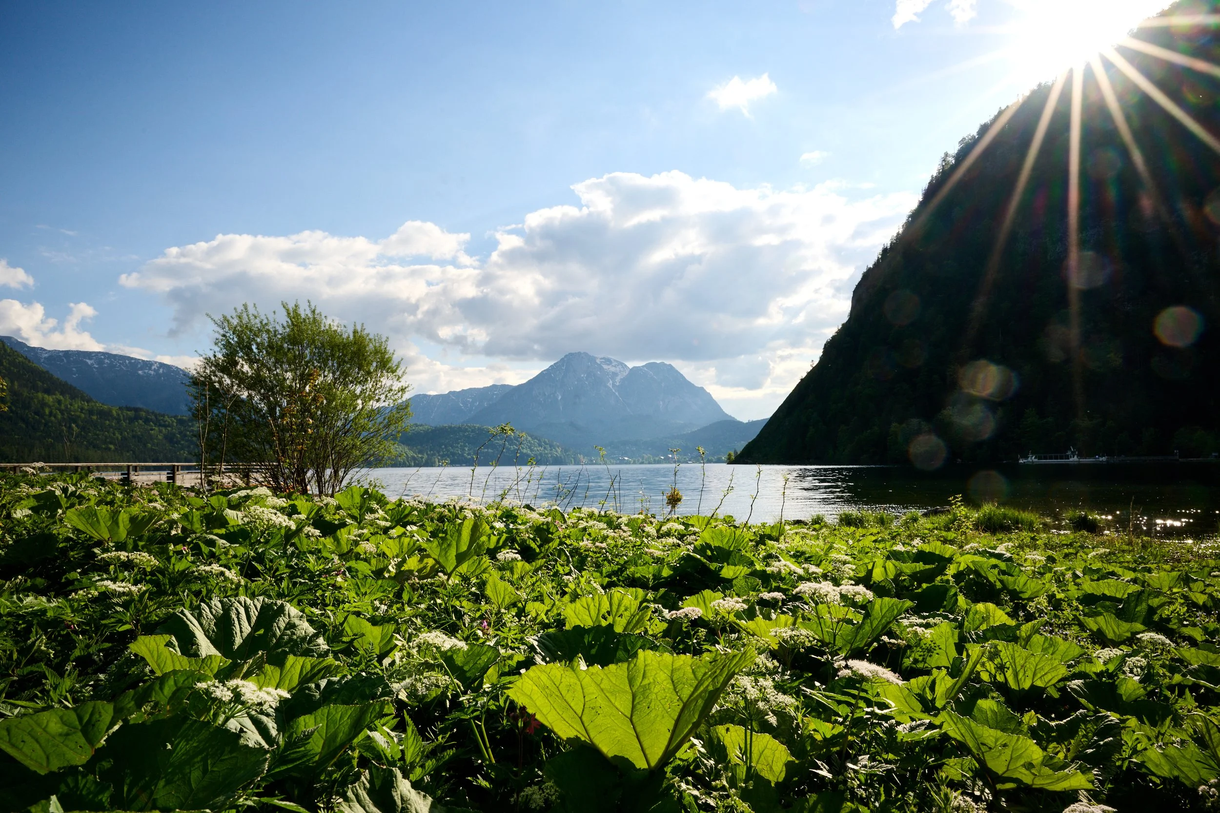 2024 04 28_Ausseerland_033.jpg