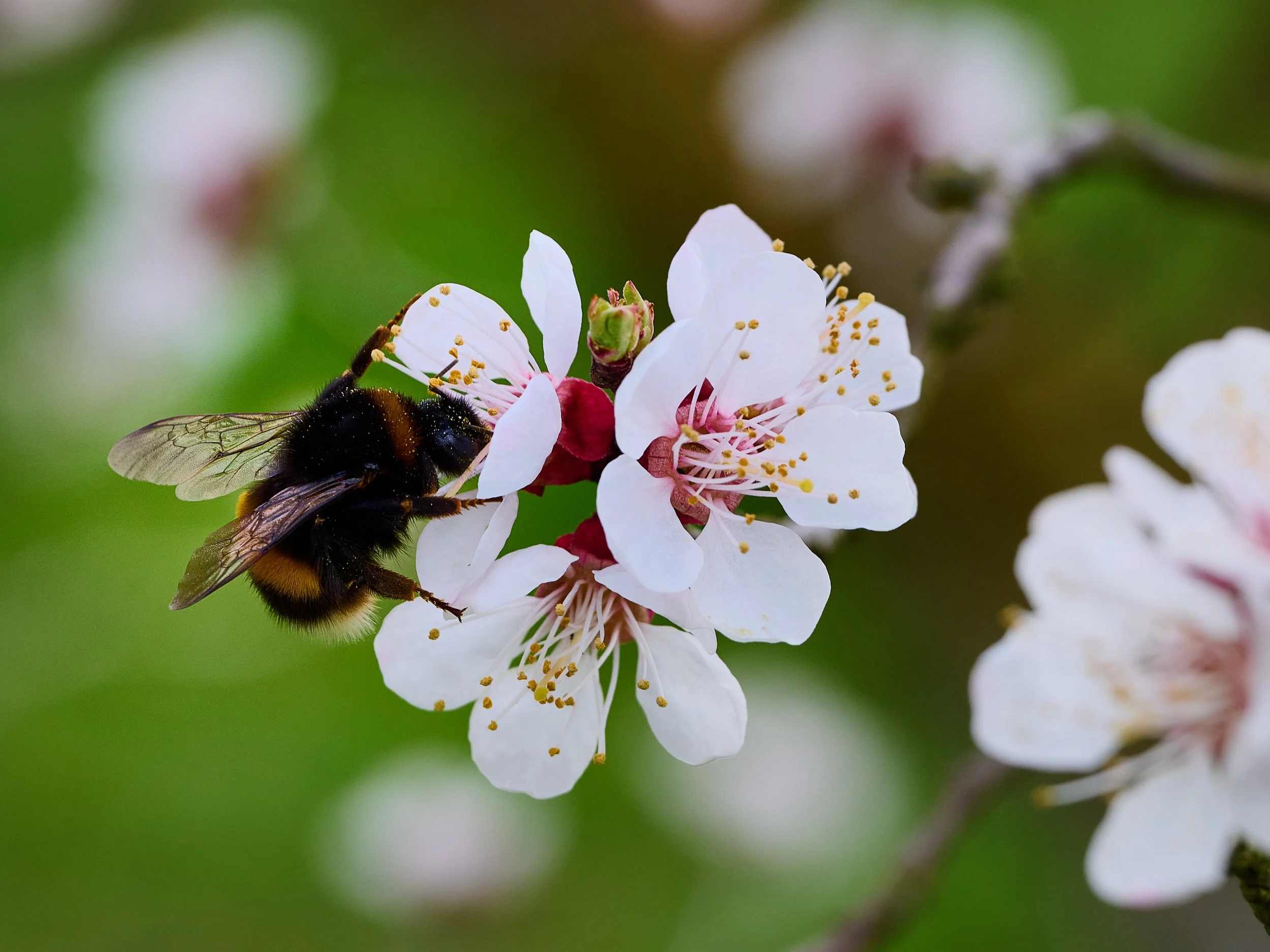 2023 03 25_Wachau_017.jpg