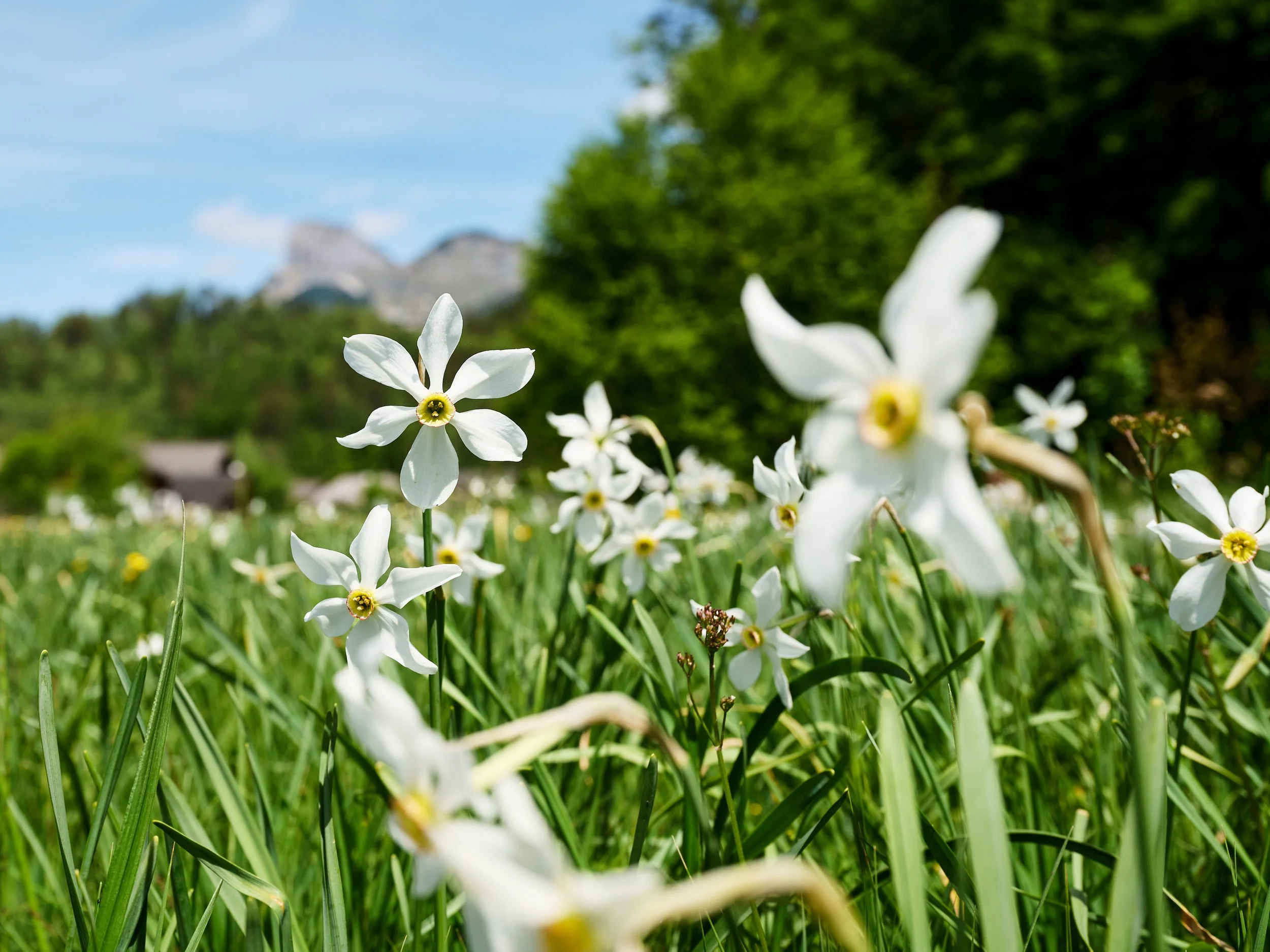 2024 04 28_Ausseerland_255.jpg