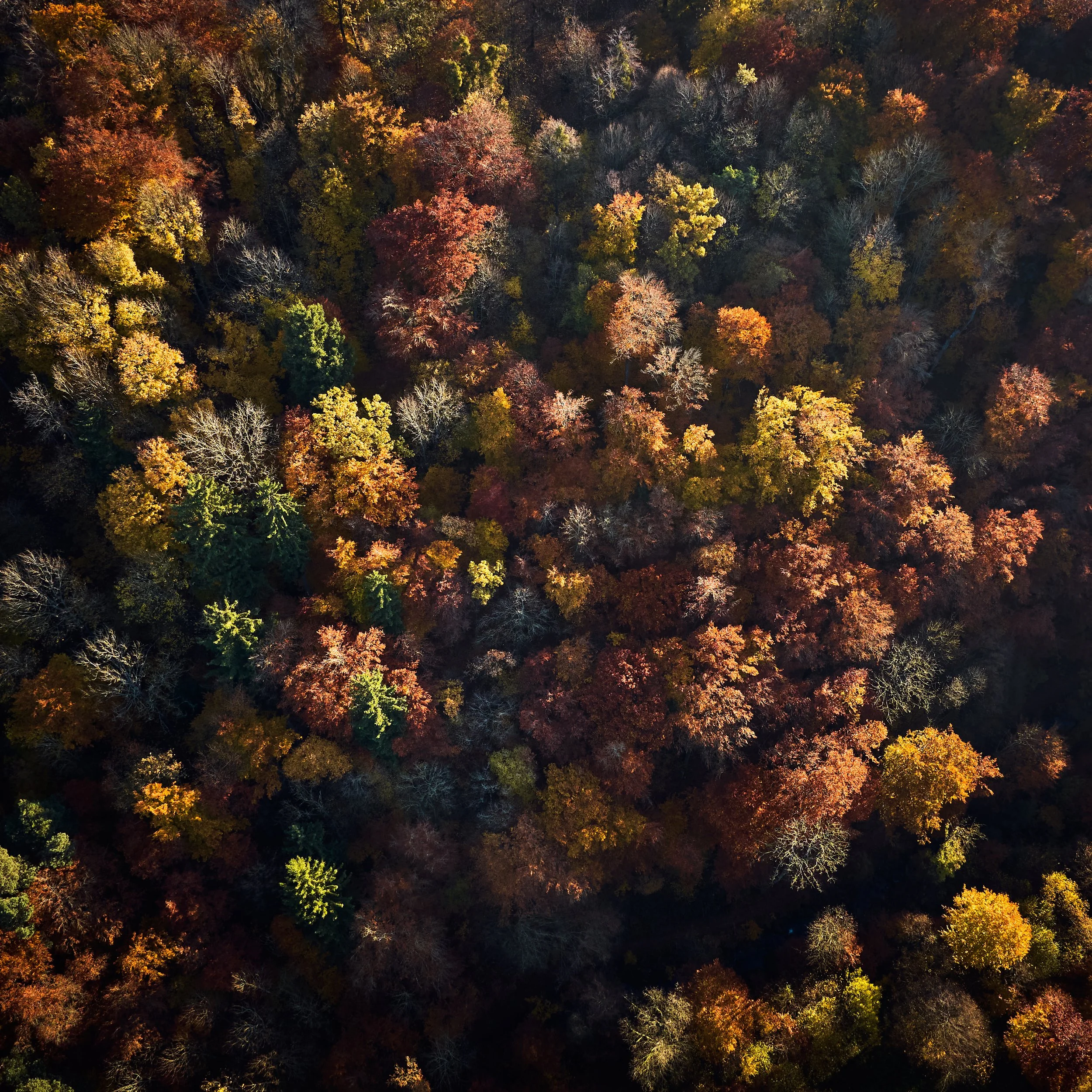 Mühlviertel (Seasons in Upper Austria)