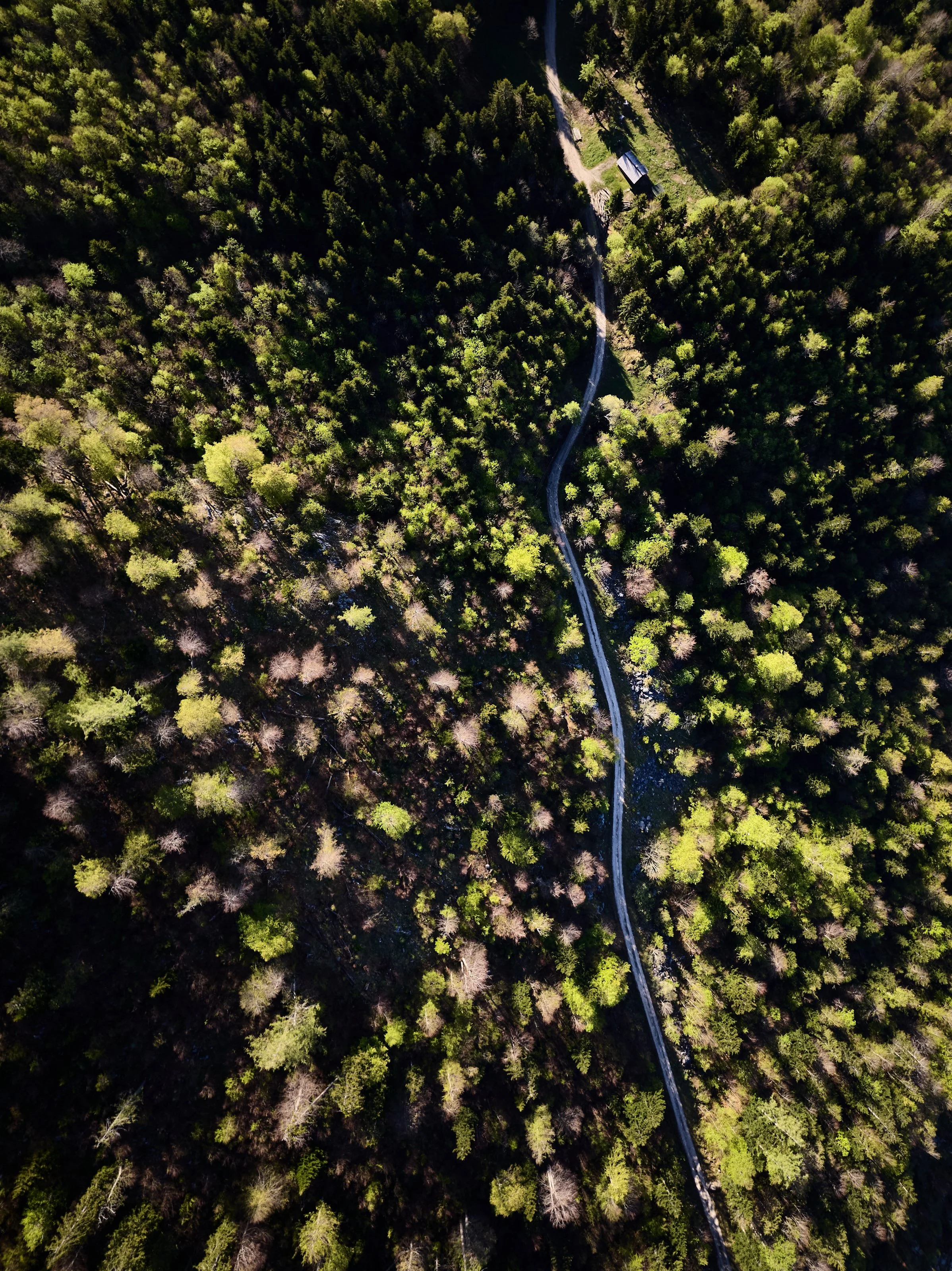 2024 04 28_Ausseerland_066.jpg