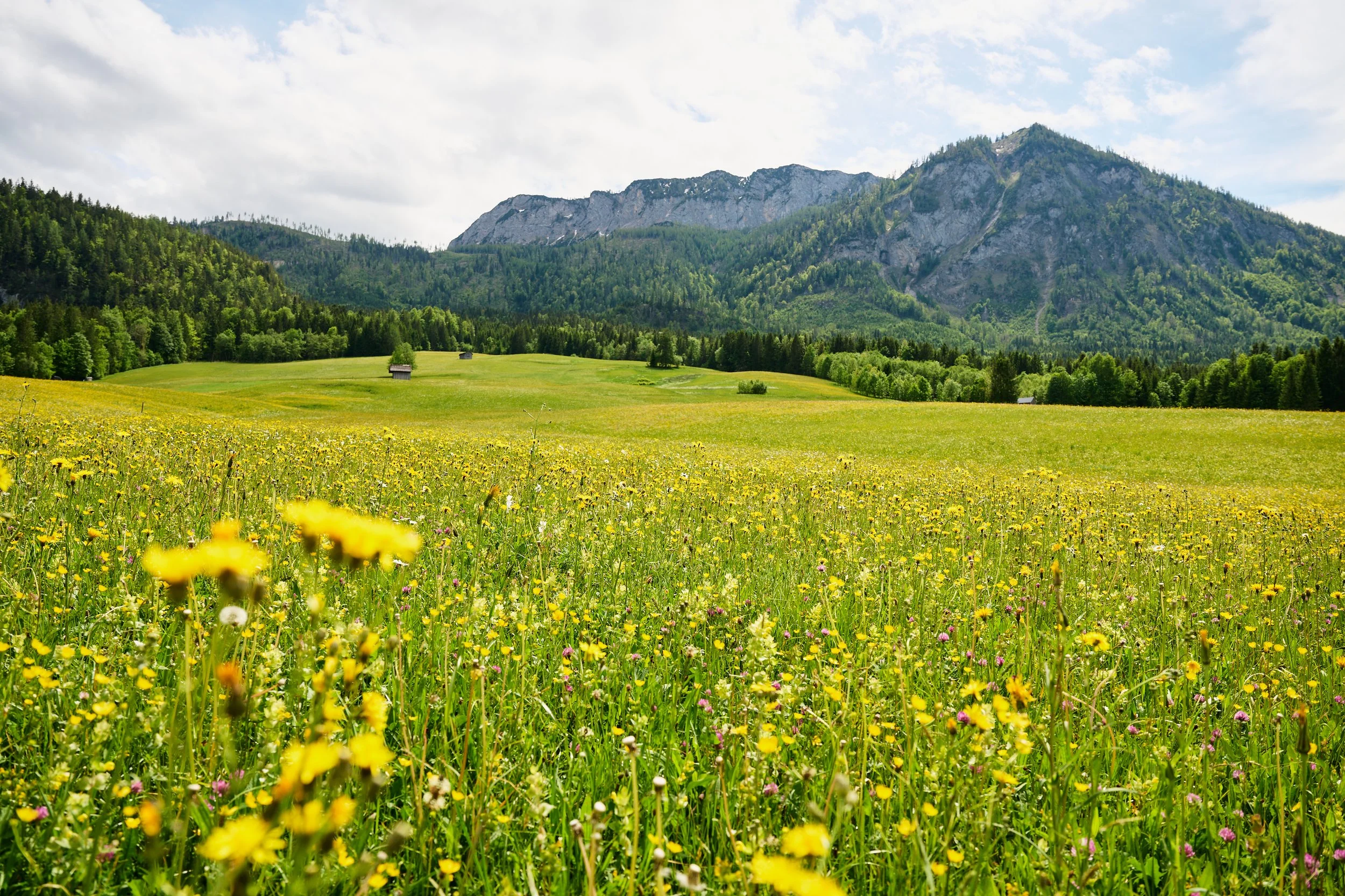 2024 04 28_Ausseerland_310.jpg