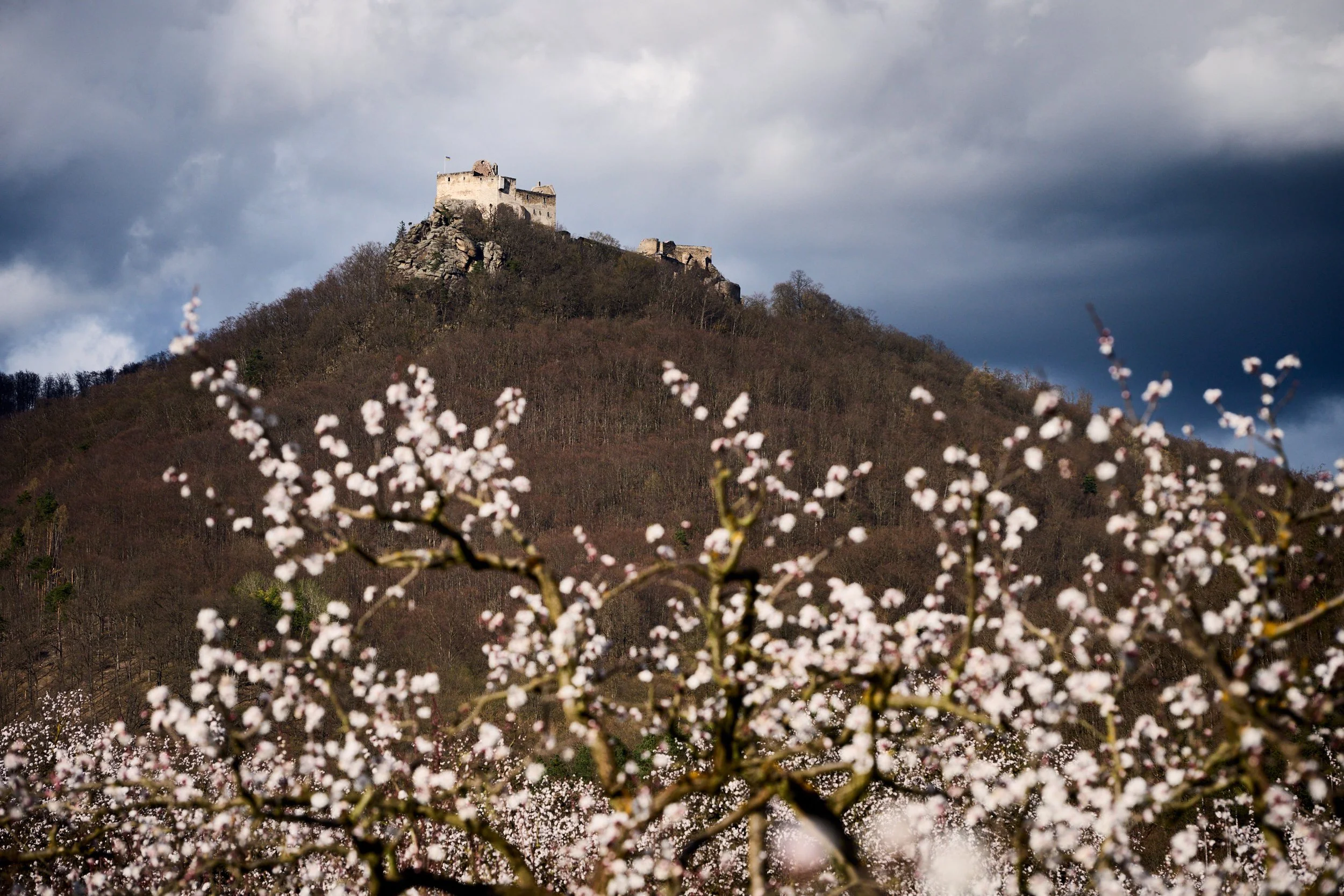 2023 03 25_Wachau_024.jpg