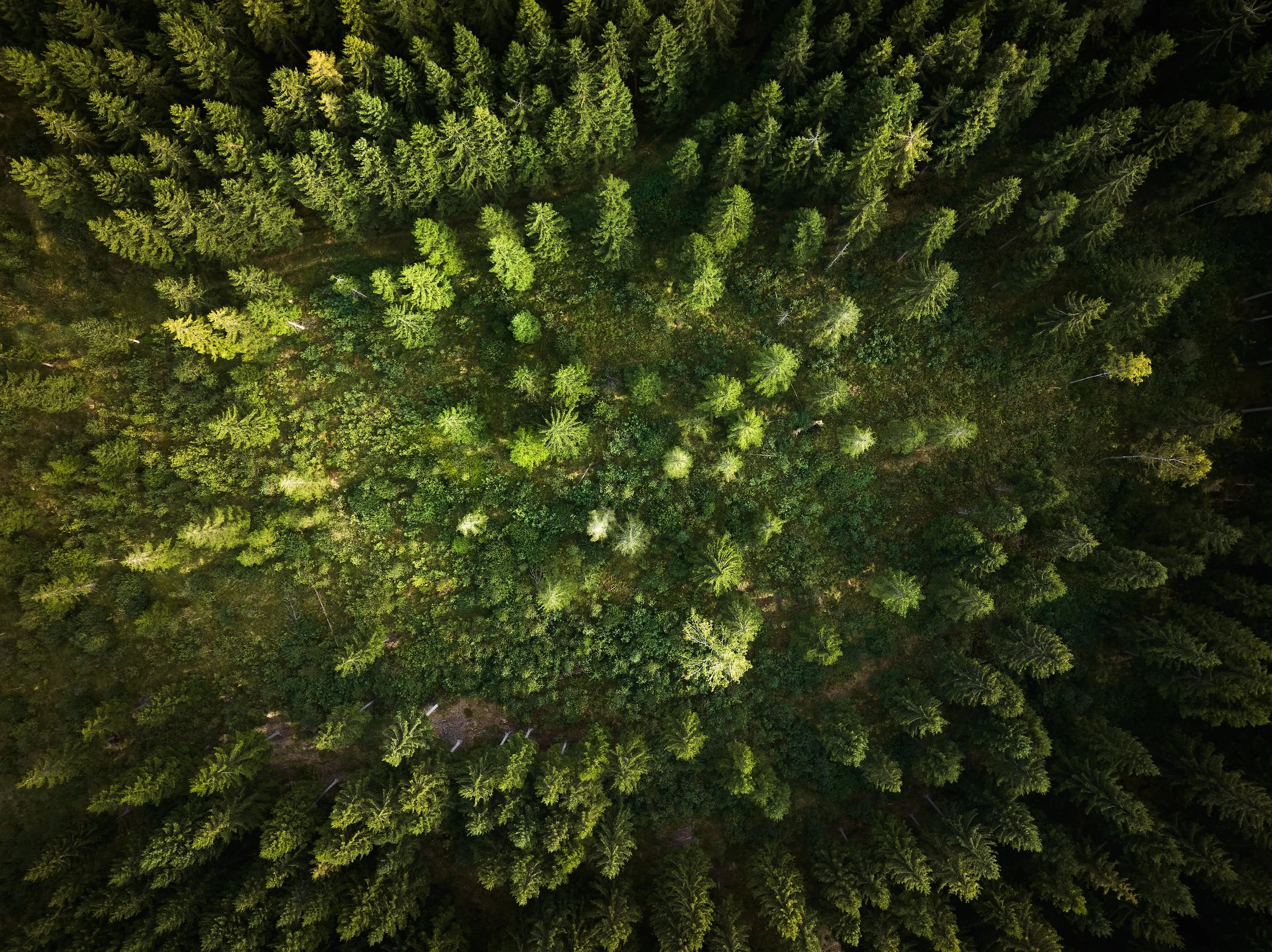 2024 09 01_Kaltenberg_023.jpg