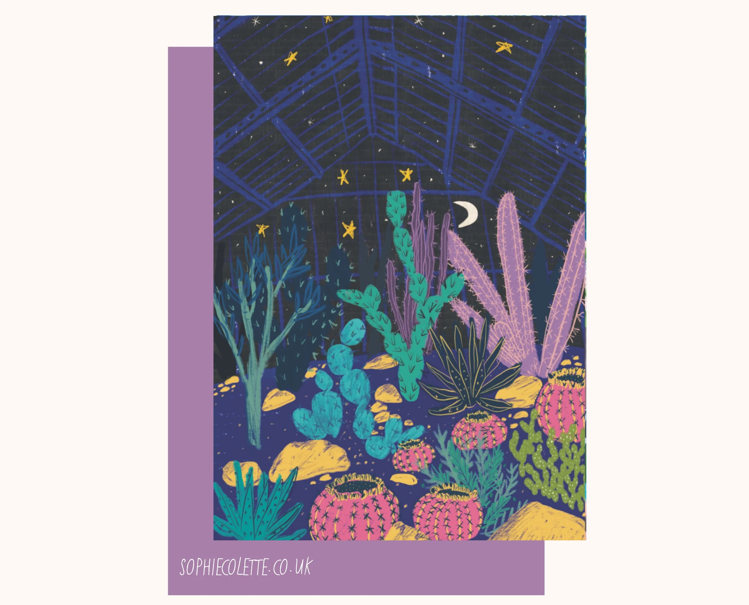 Cactus