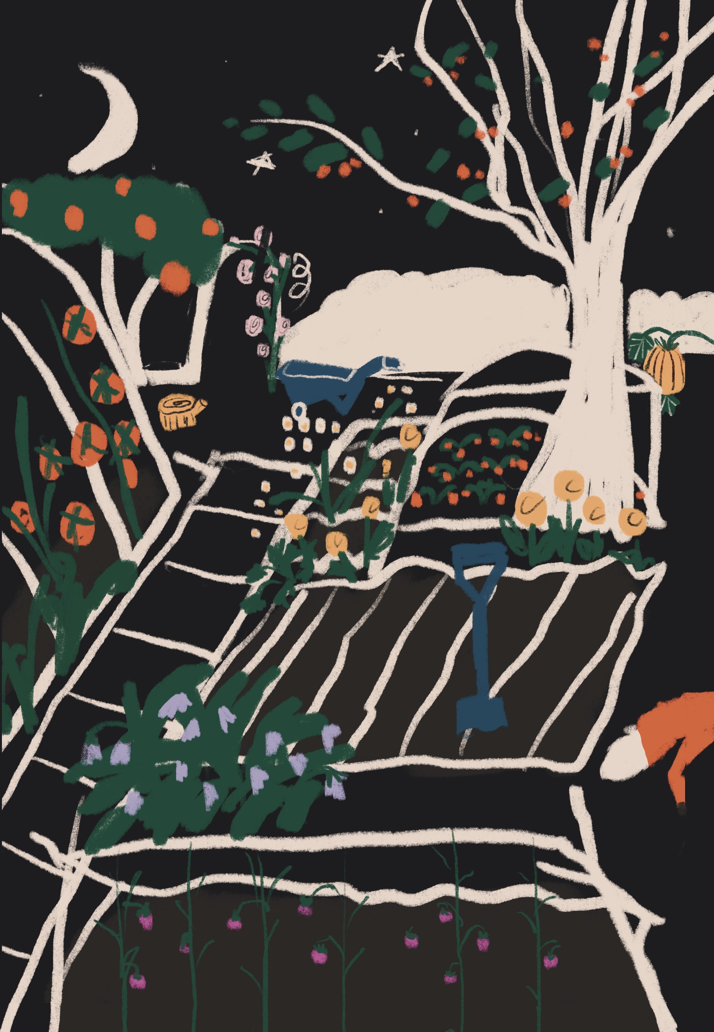Untitled_Artwork 11.jpg