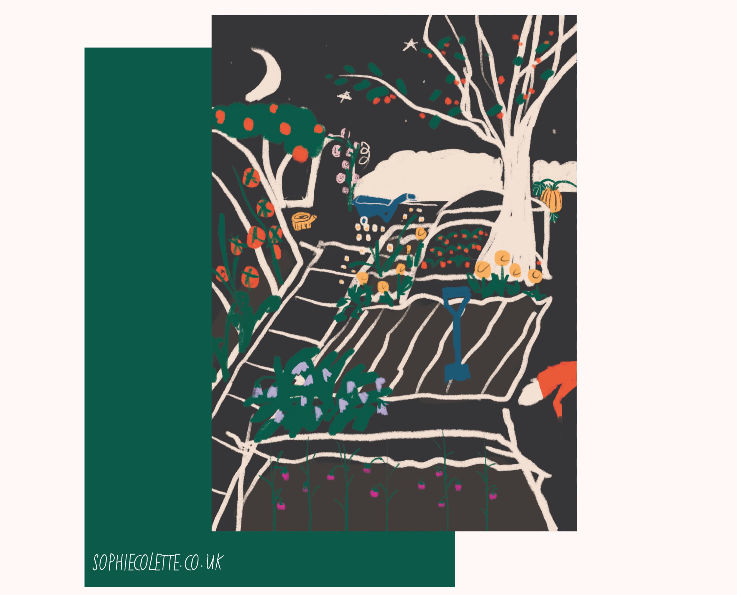 Midnight Garden