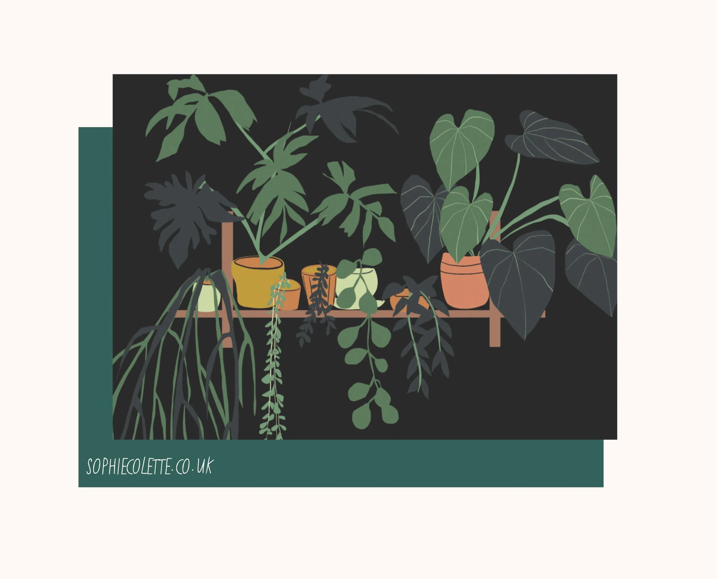 Plant Shelf