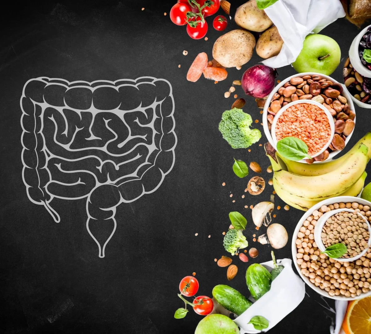 Restore Digestion Program