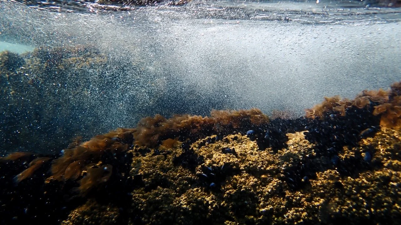 Underwater