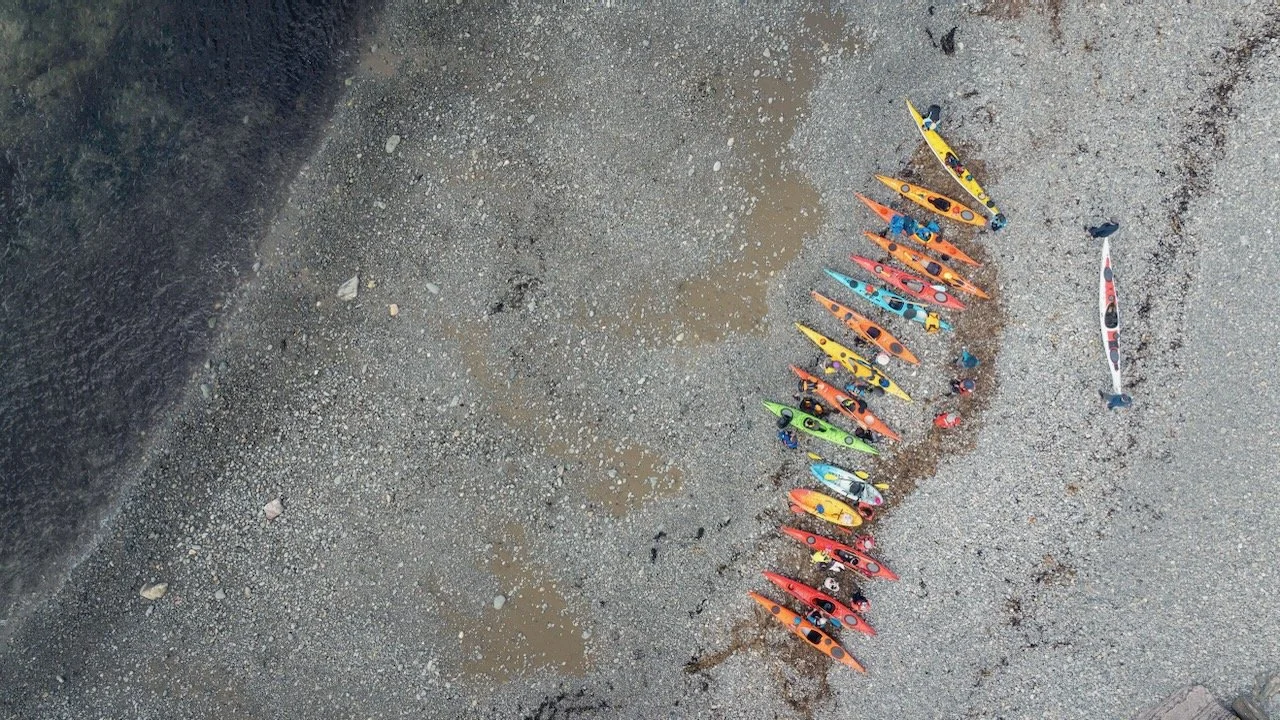 2024-06-08 World Oceans Day (Sea Foraging) Paddle-DJI_20240608104445_0191_D.jpeg