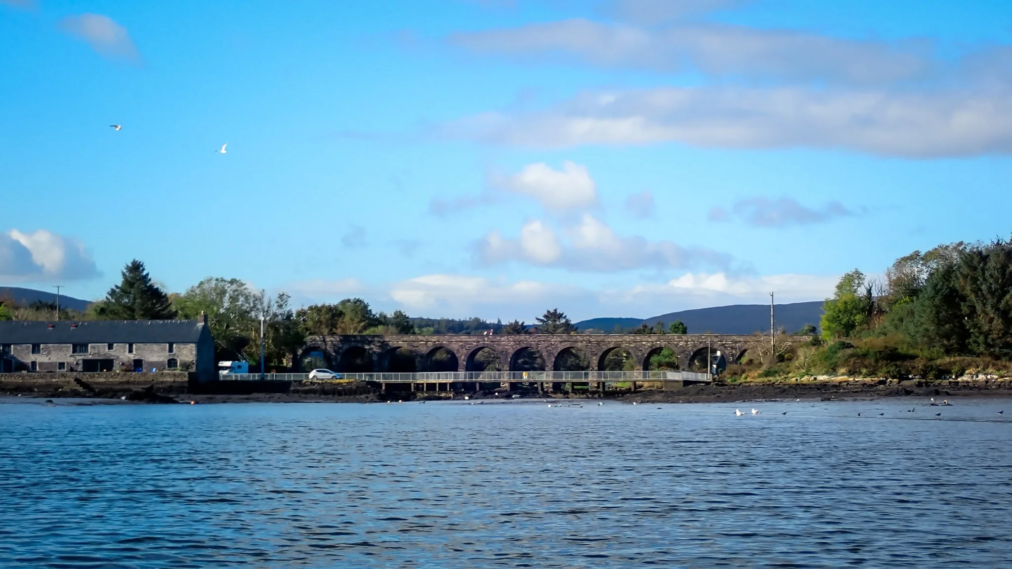 2026-10-16 Roaringwater Bay Paddle - PA160994 (web-res).jpg