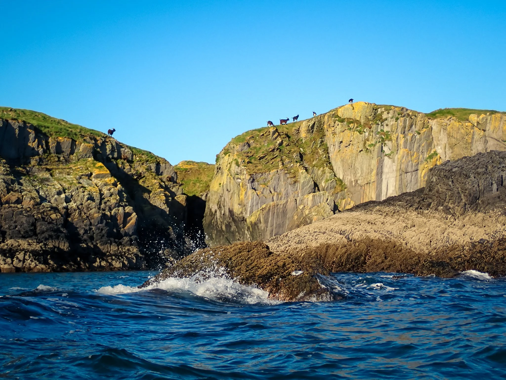 2026-10-17 Leamcon Castle & Goat Island Paddle - PA171185 (web-res).jpg