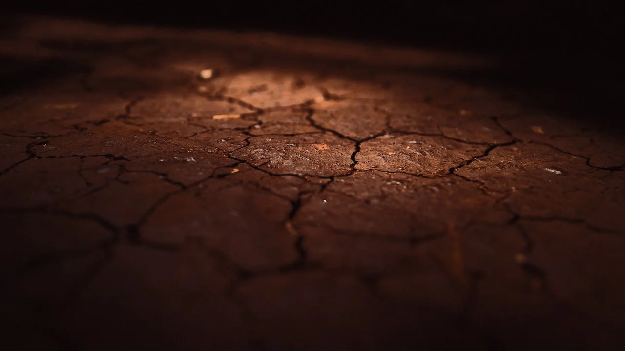 2025-02-09 Karura Forest, Nairobi, Kenya - L1013829.jpeg