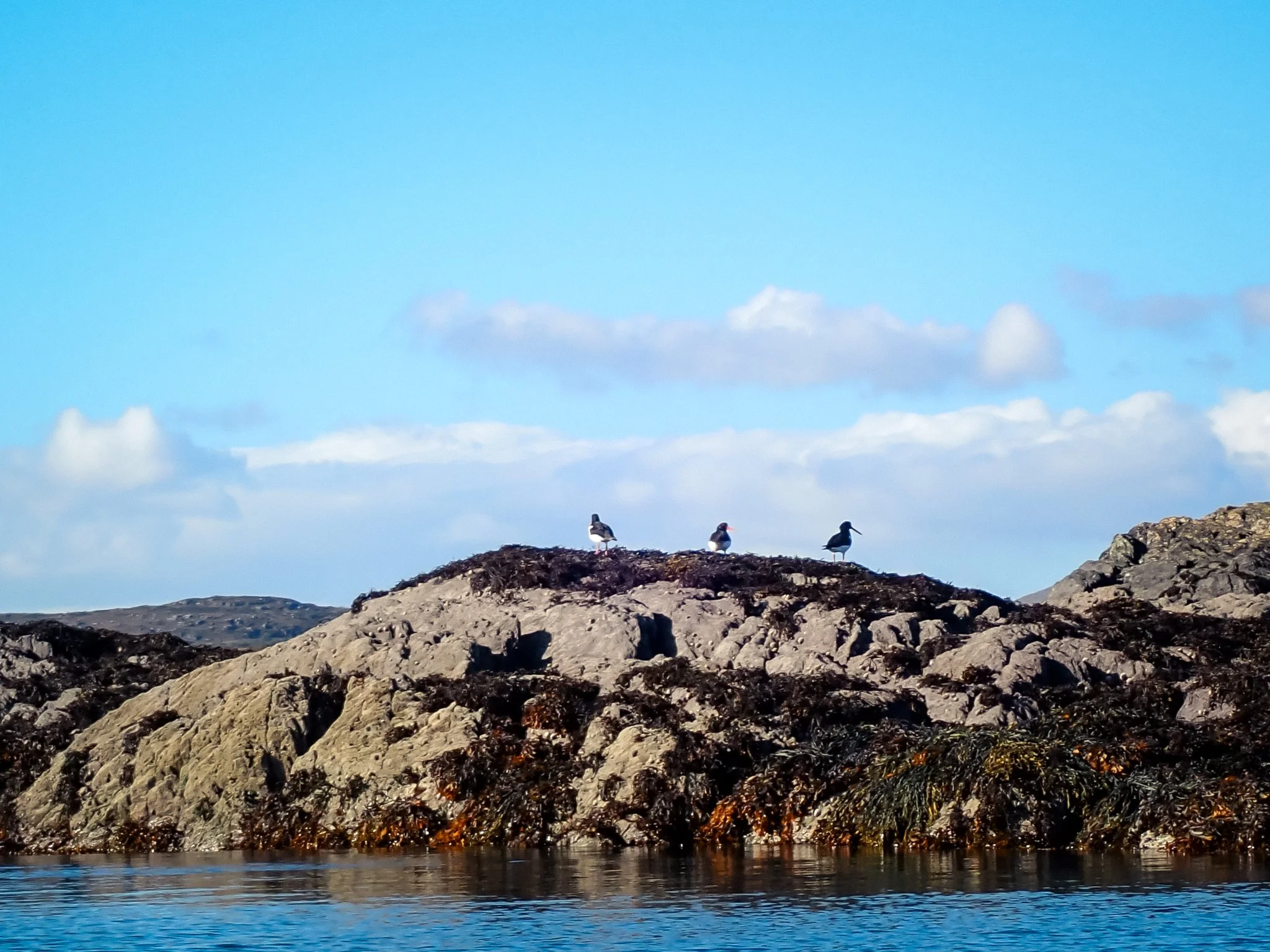 2026-10-16 Roaringwater Bay Paddle - PA160990 (web-res).jpg